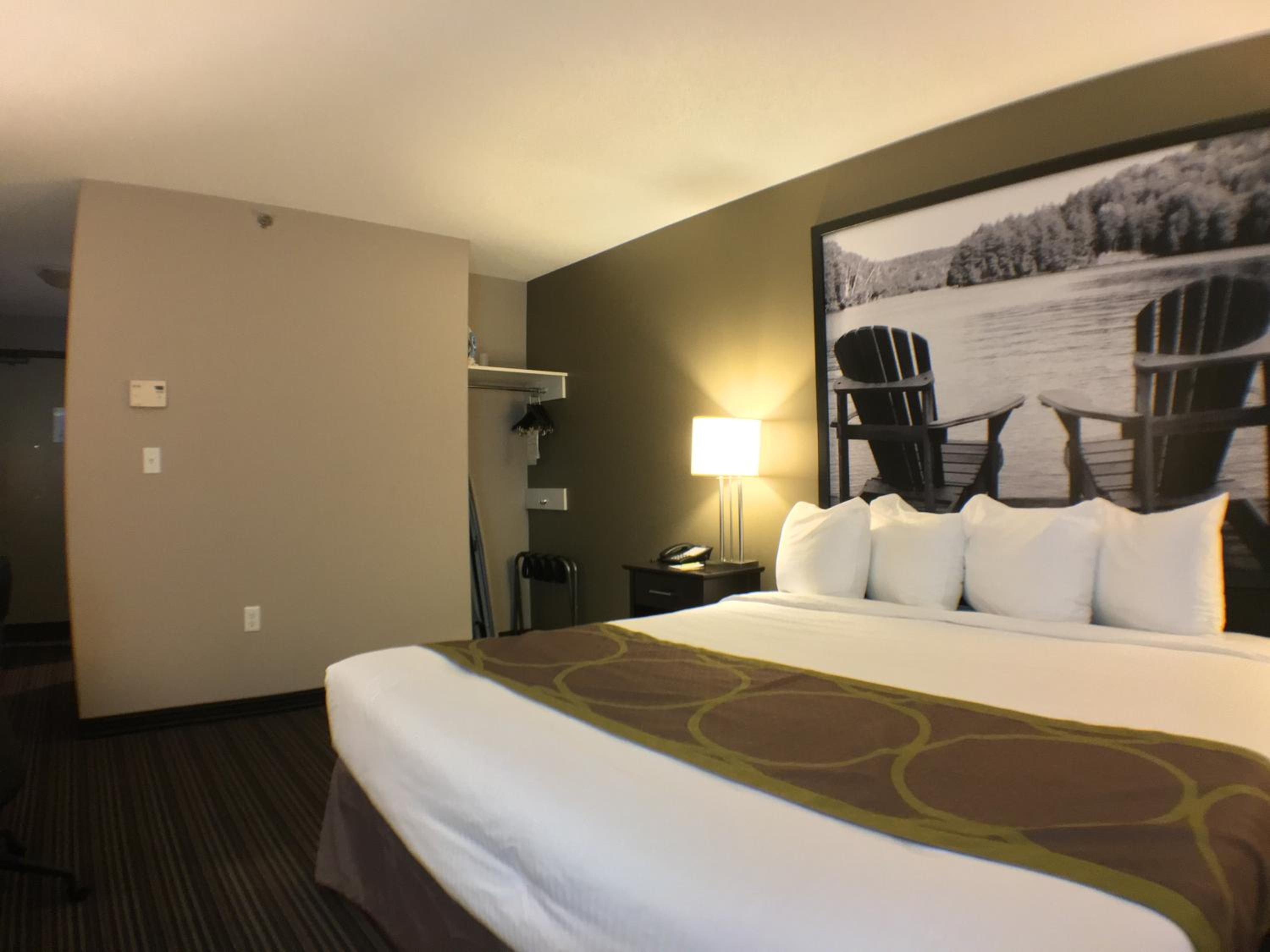 King Room - Disability Access - Non-Smoking - Photo 1