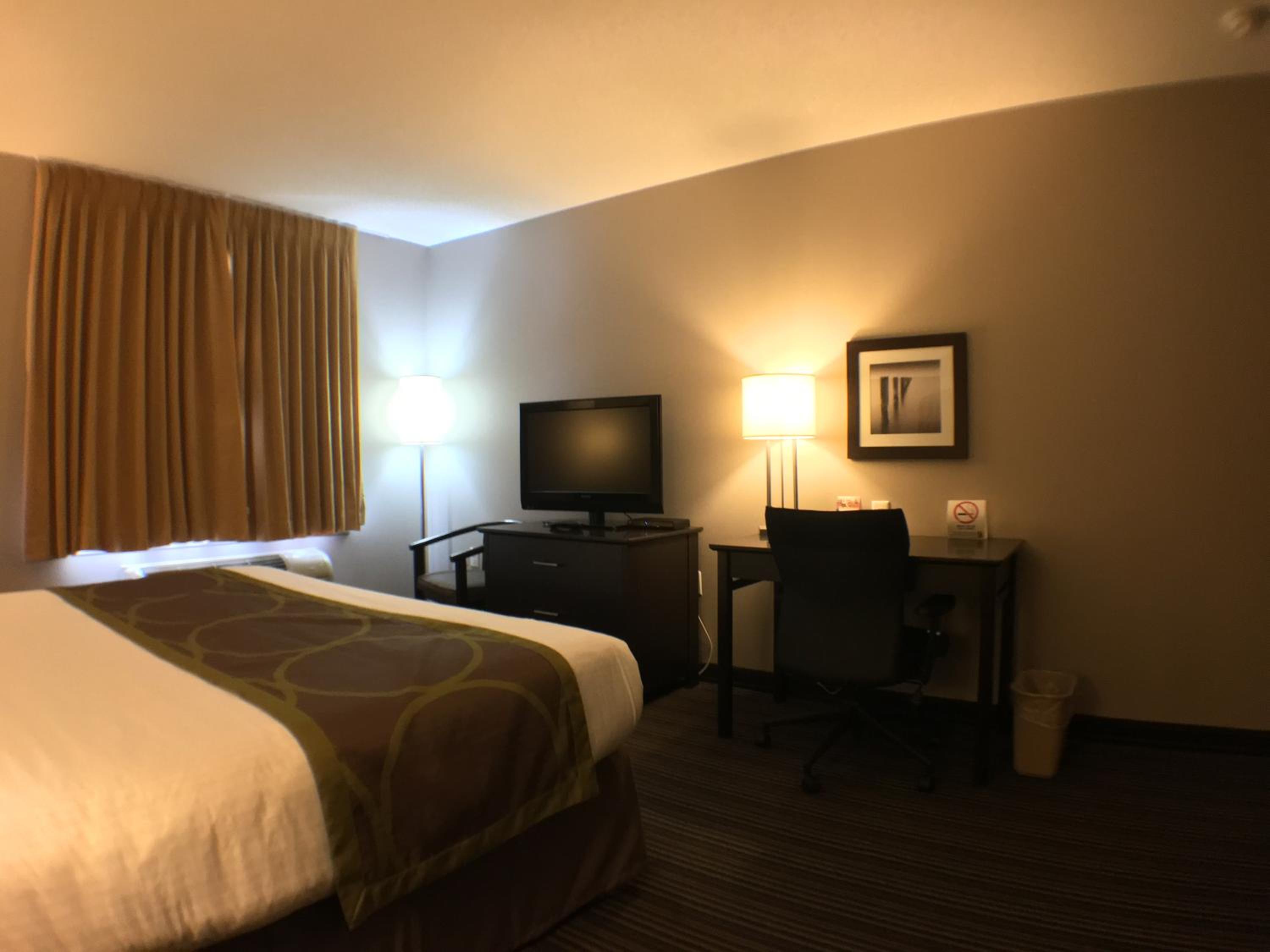 Queen Room - Disability Access - Non-Smoking - Photo 1