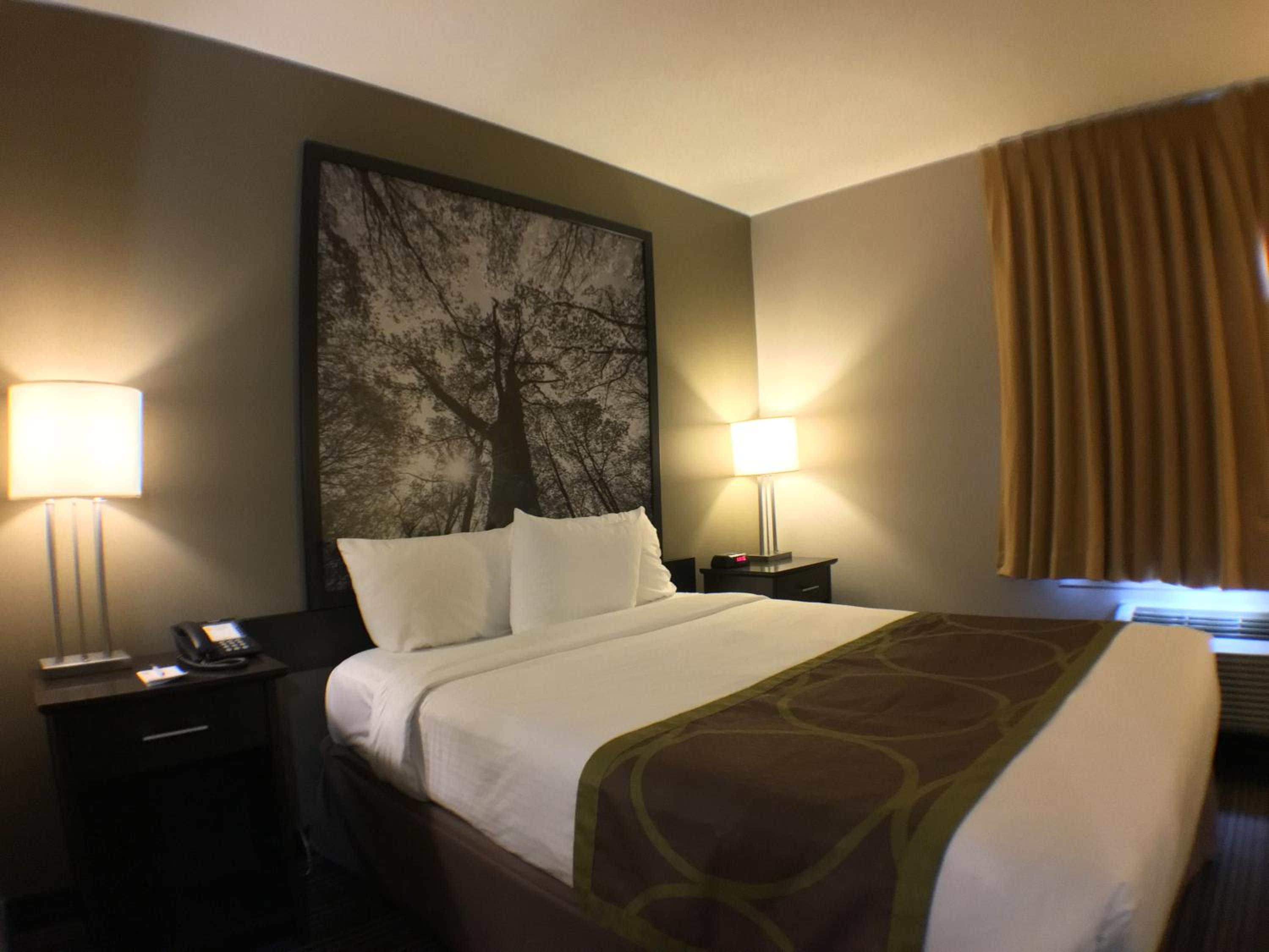 Queen Room - Disability Access - Non-Smoking - Photo 4