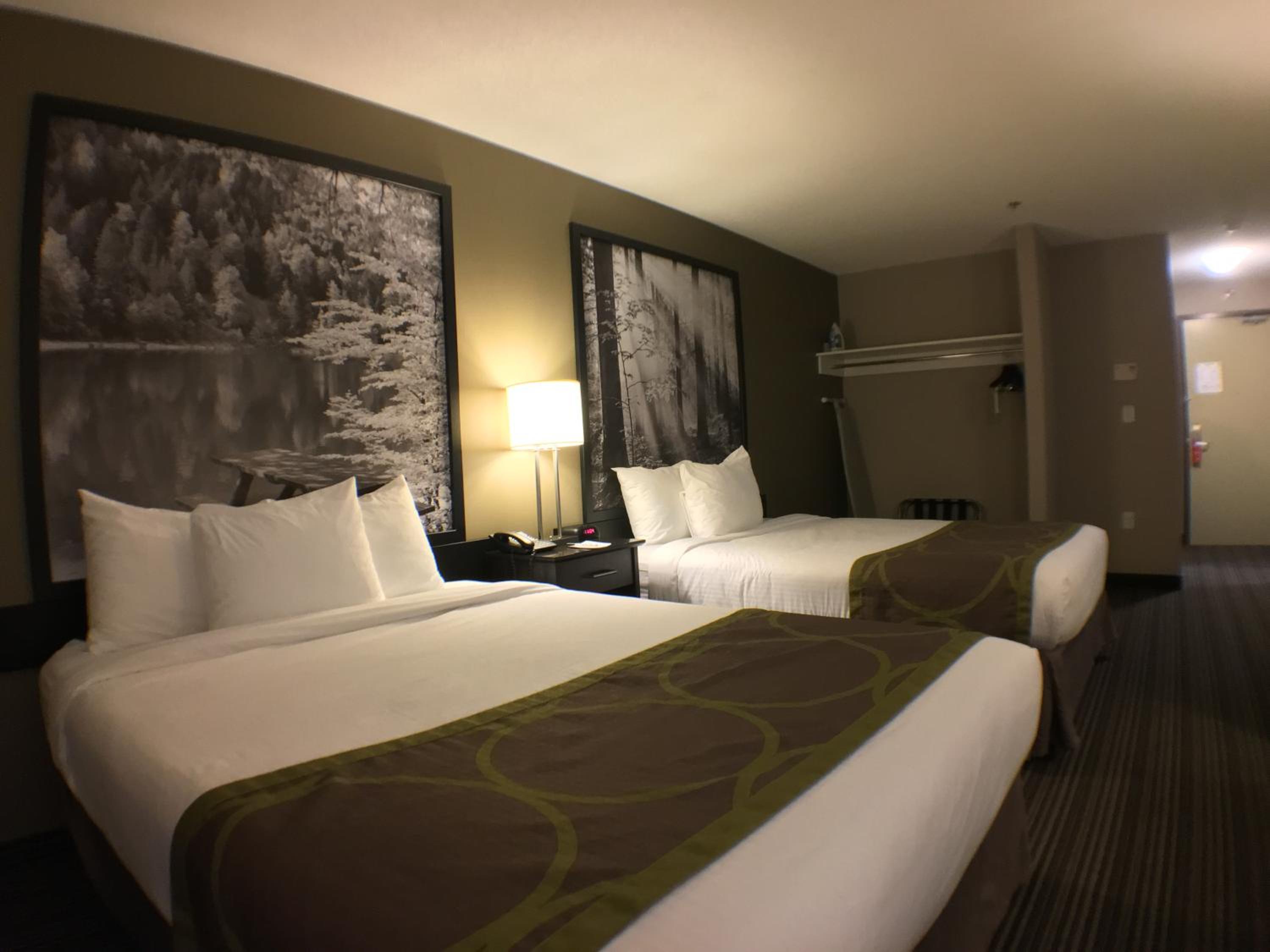 Queen Room with Two Queen Beds - Non-Smoking - Photo 6