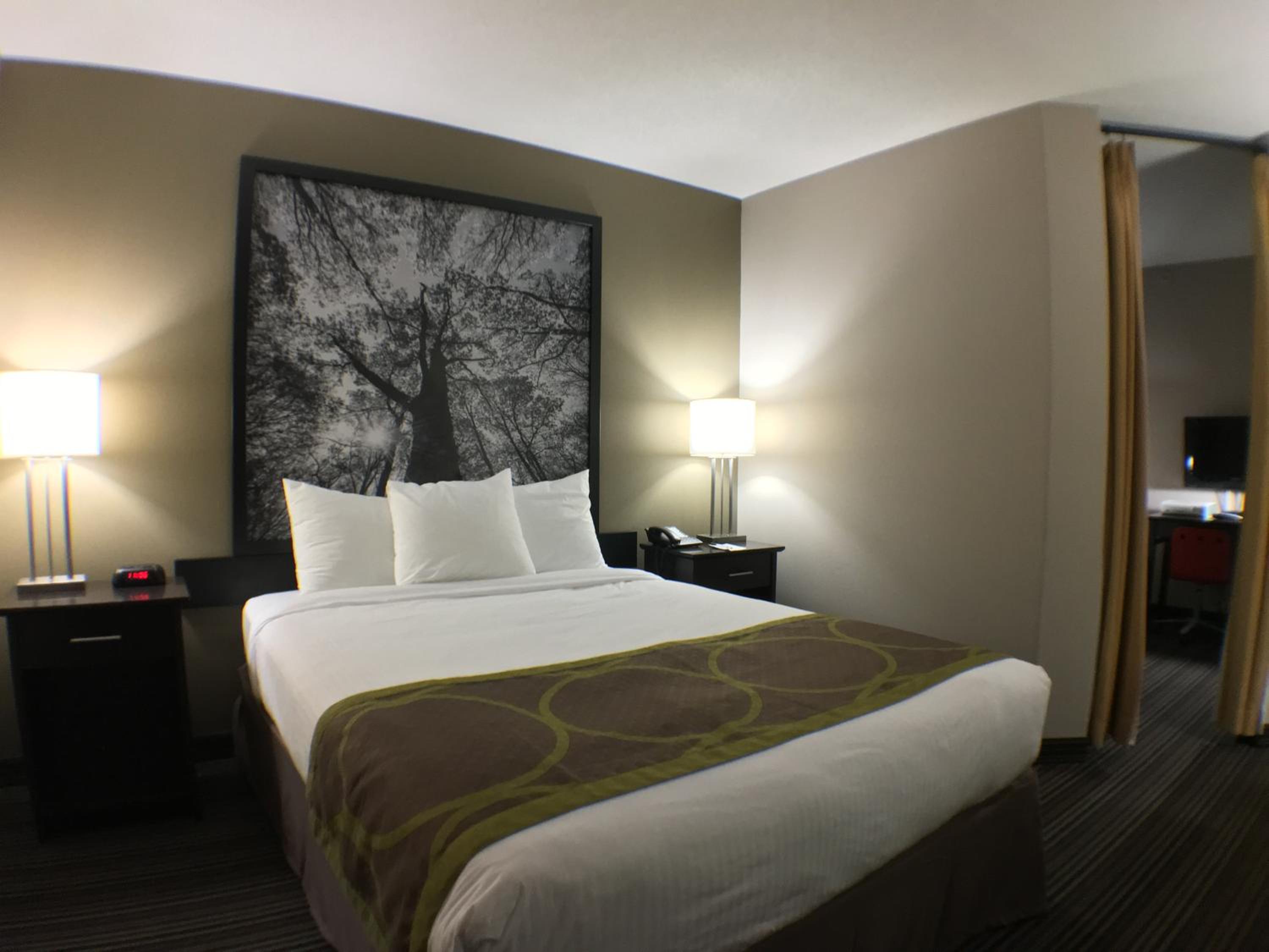 Superior King Suite - Non-Smoking - Photo 1
