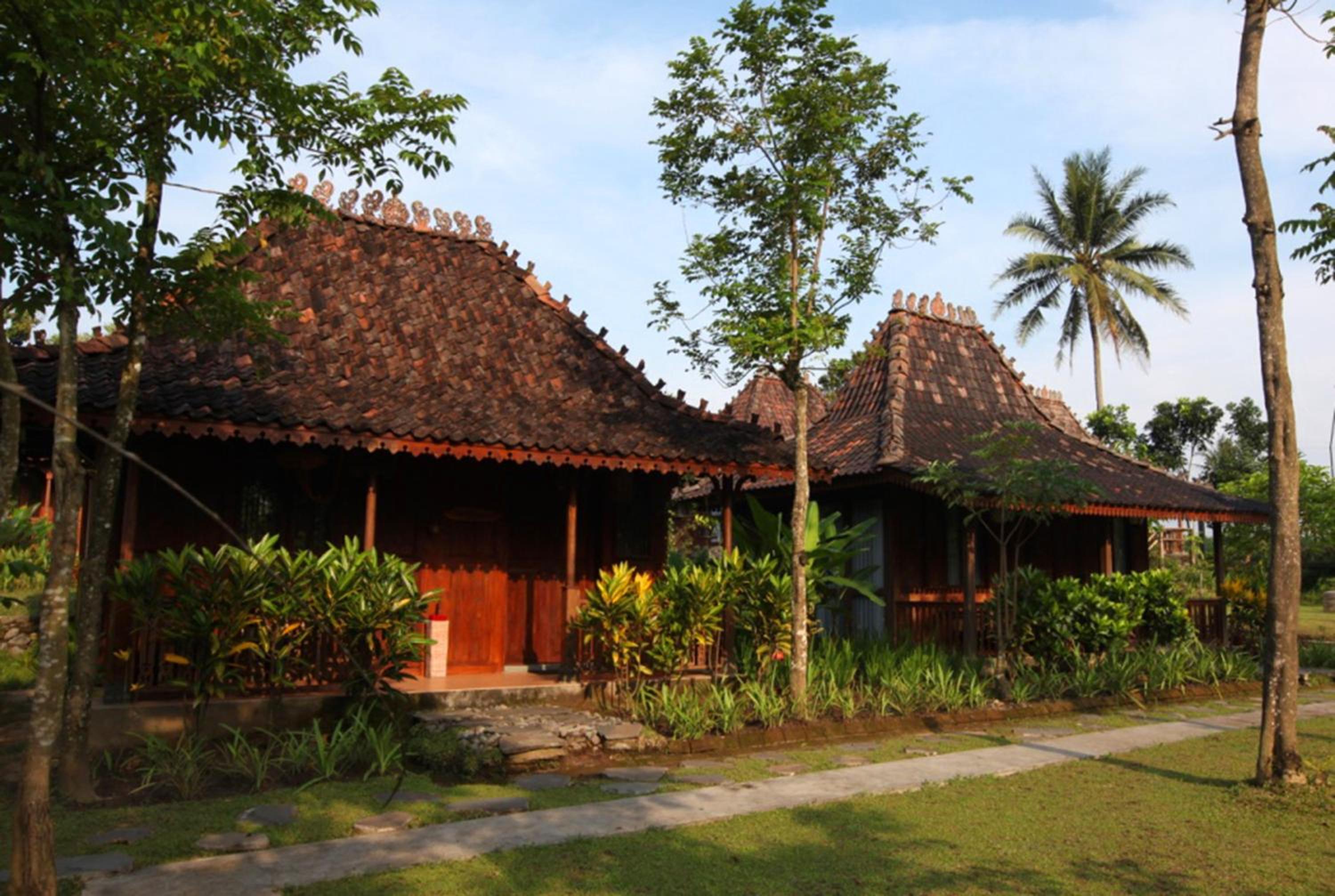 Deluxe Bungalow photo 3