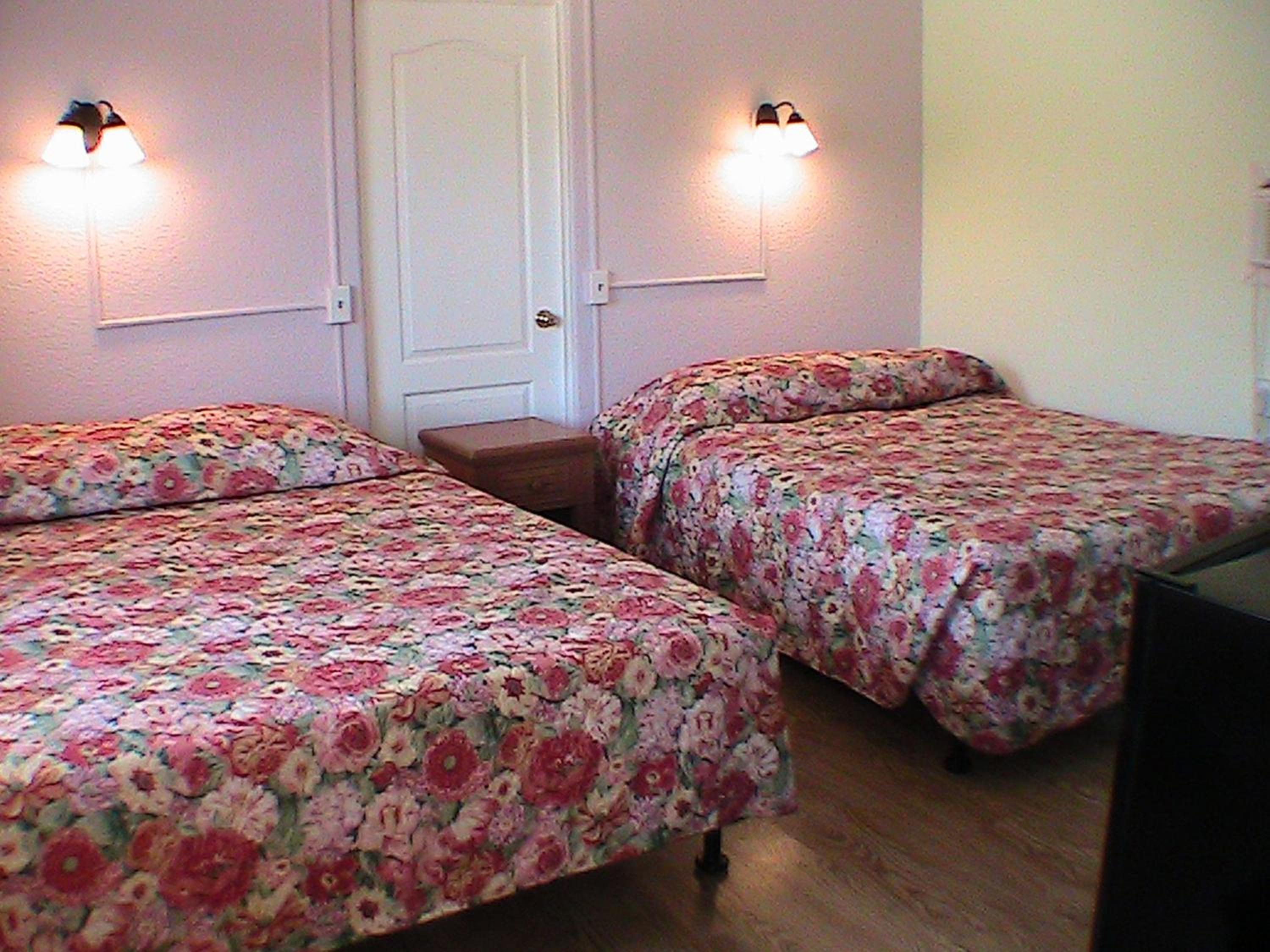 Double Queen Kitchenette photo 1