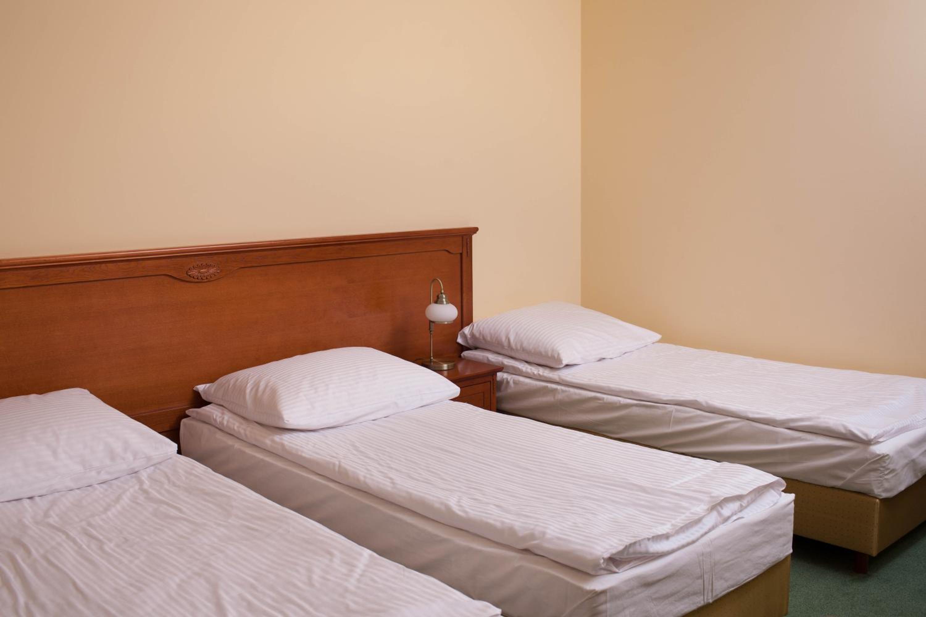 Basic Triple Room