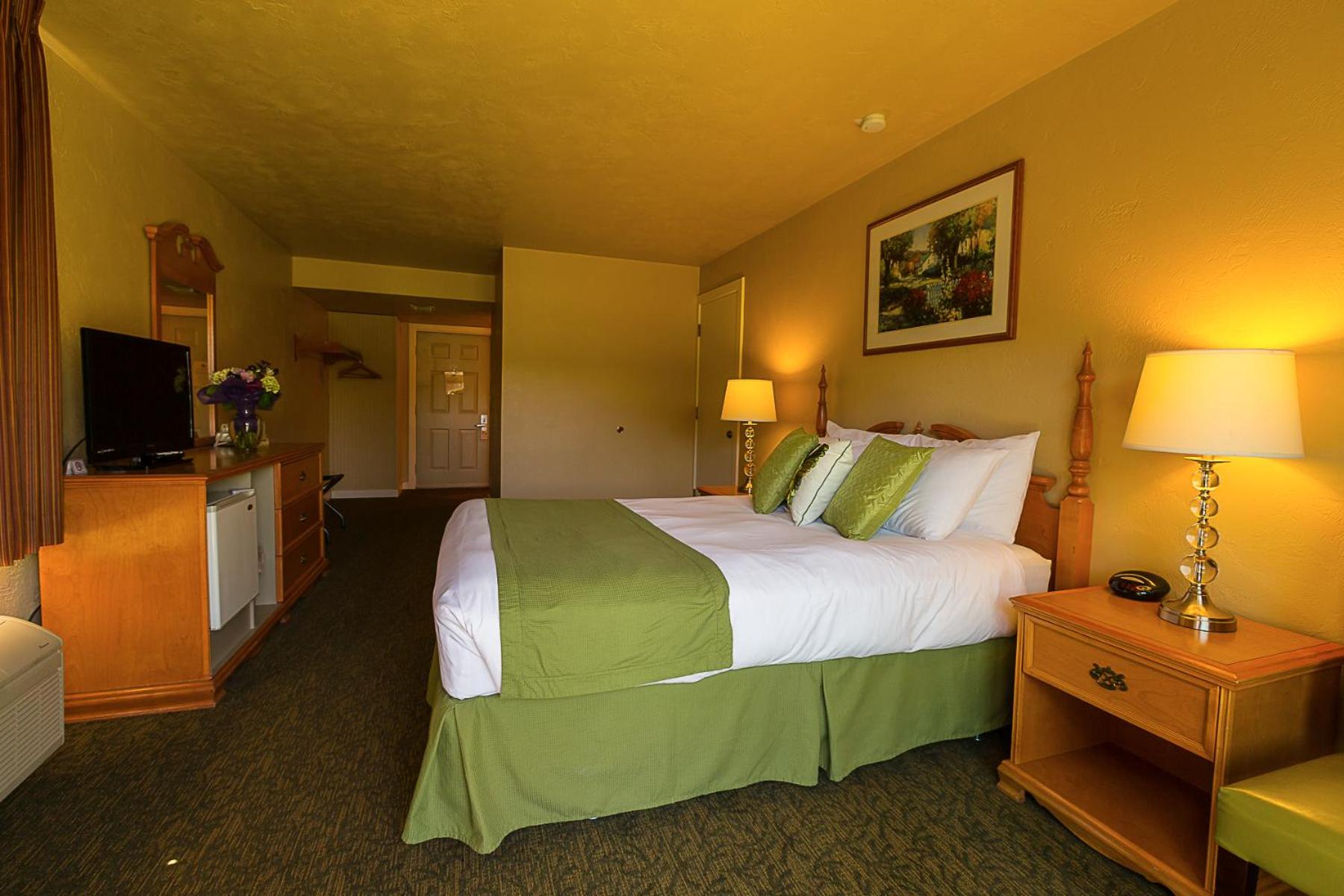 Queen Room - Not Pet Friendly (No Pets) photo 1