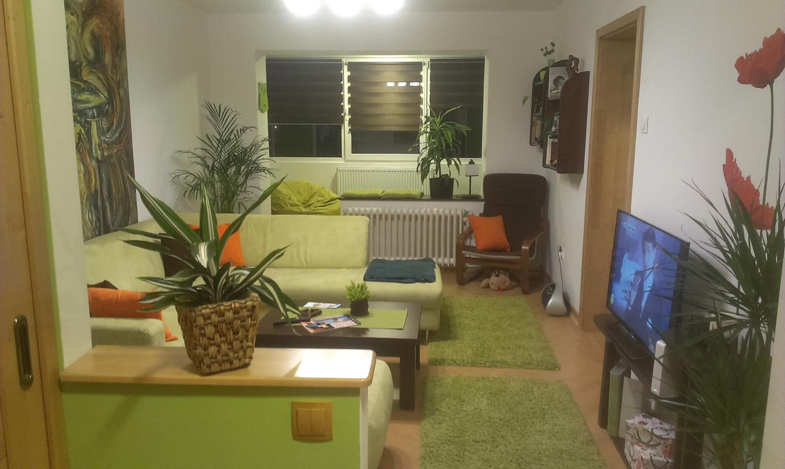 One-Bedroom Apartment photo 3