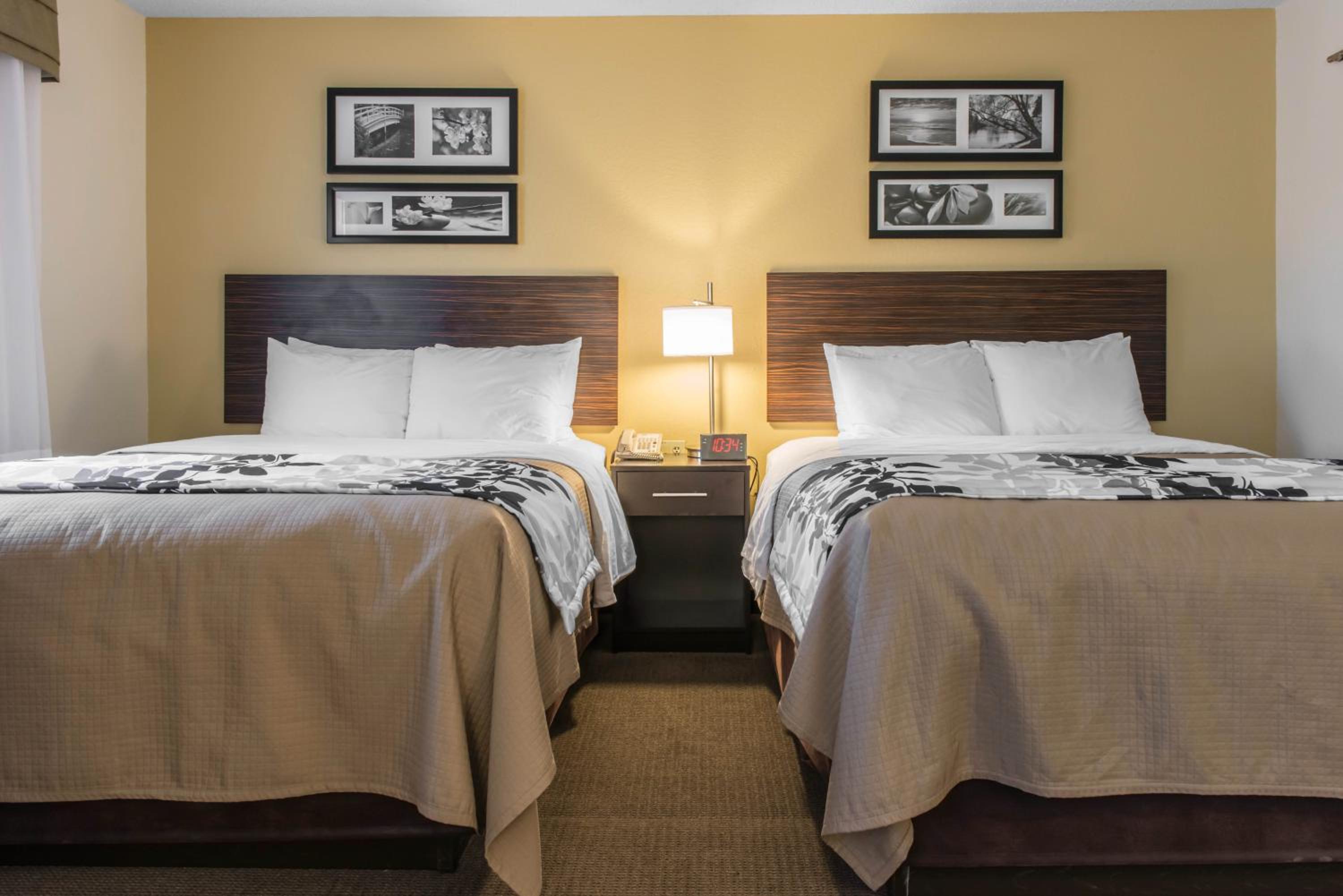 Queen Suite with Two Queen Beds and Sofa Bed photo 1
