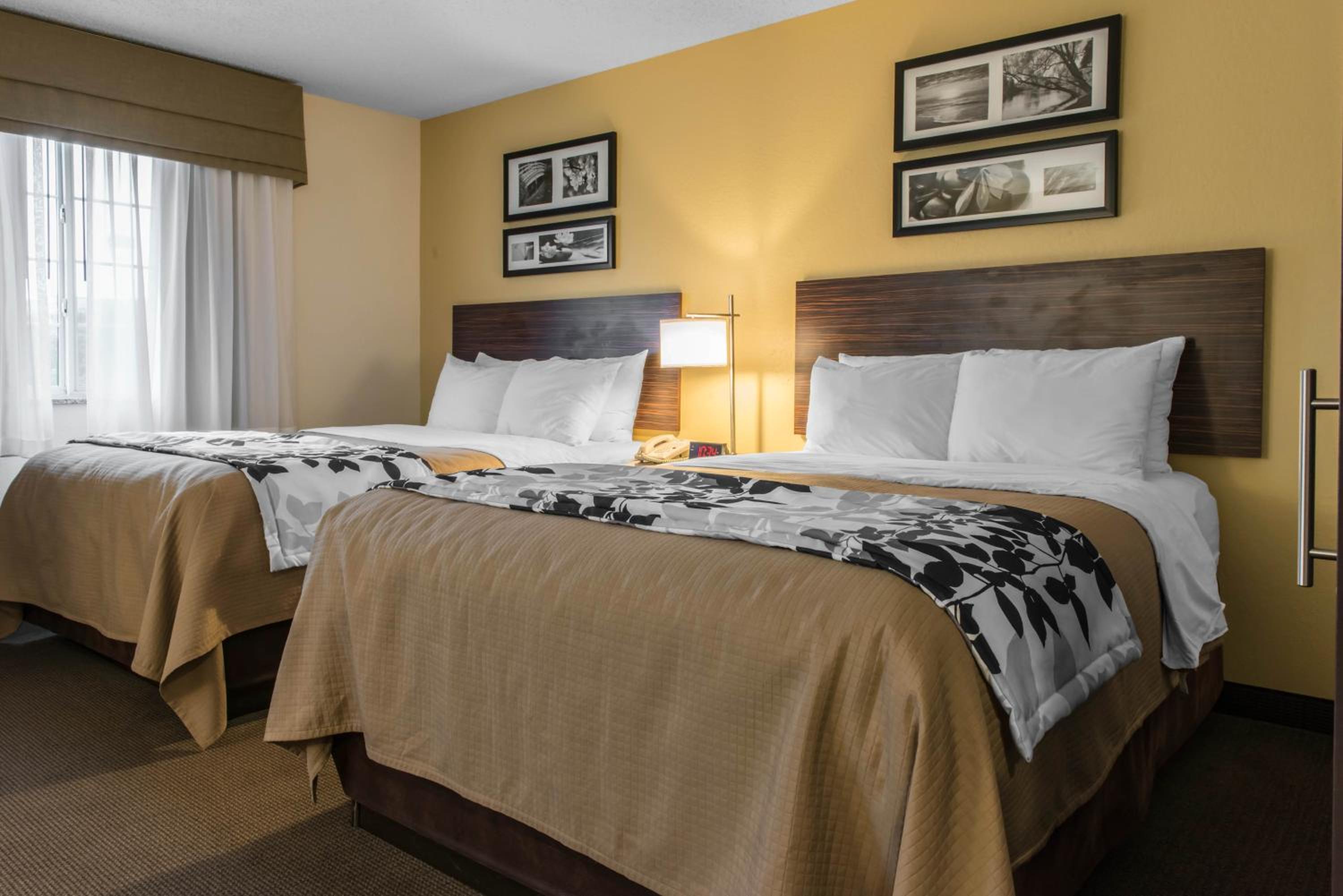 Queen Suite with Two Queen Beds and Sofa Bed photo 2