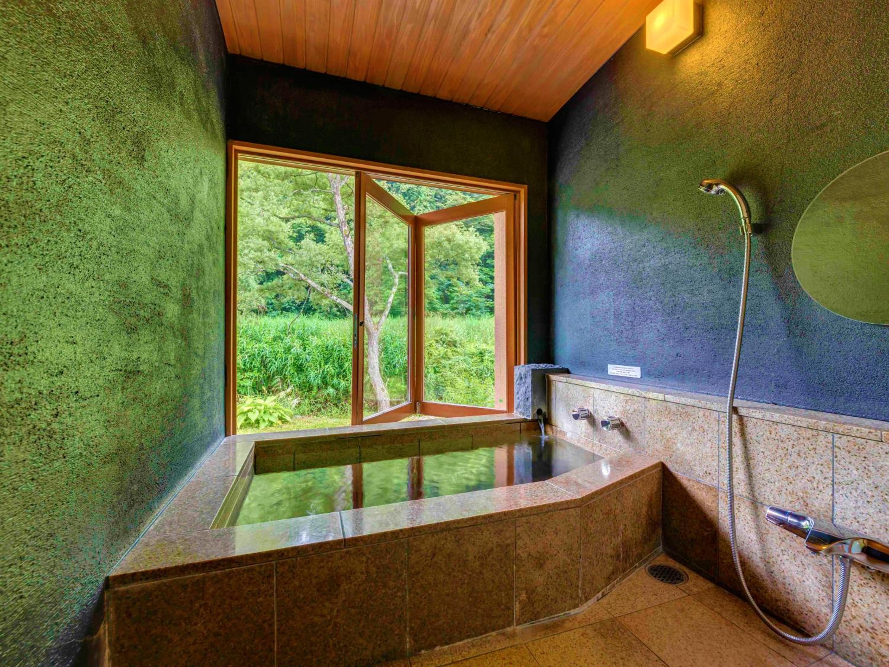 Superior Room with Hot Spring Bath photo 3