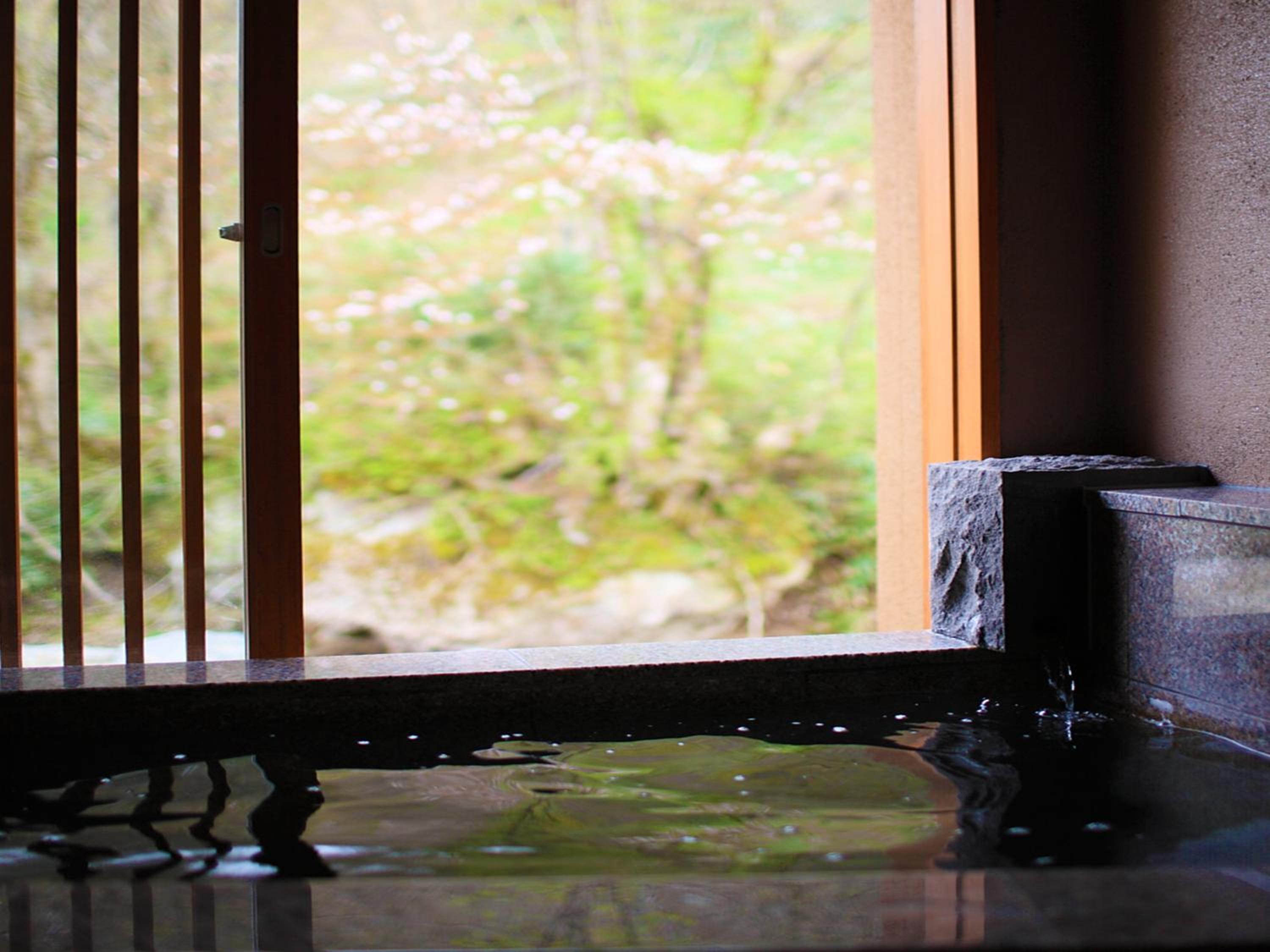 Standard Twin Room with Hot Spring Bath photo 3