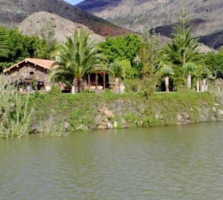 Villa photo 2
