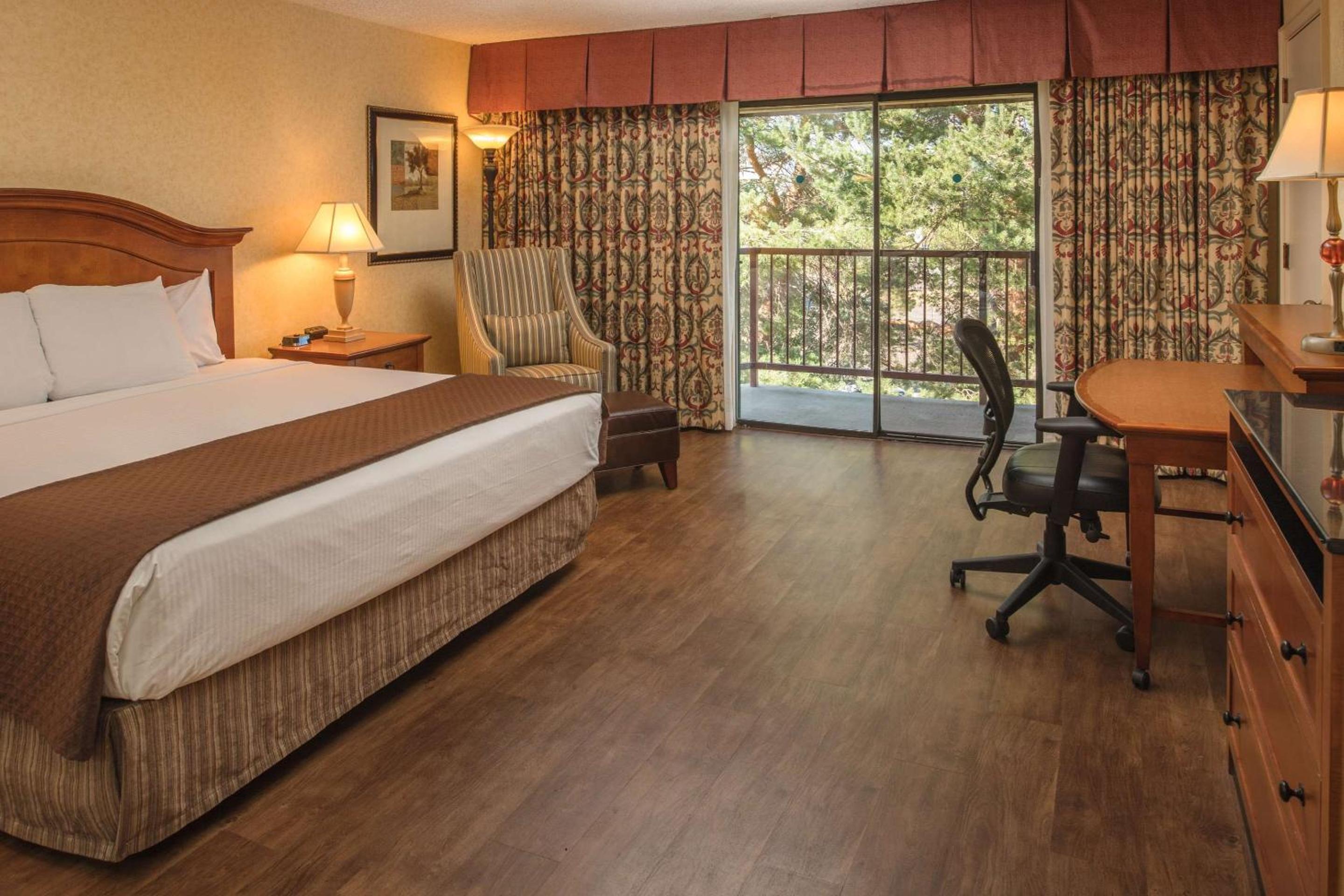 Premium King Room photo 1
