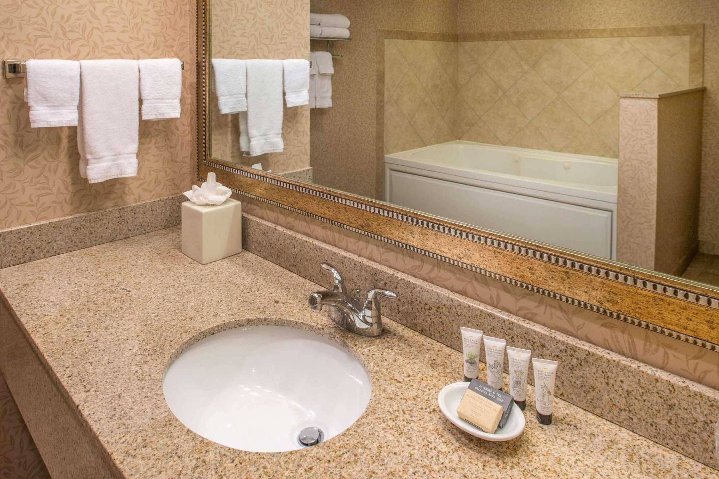 Premium King Room photo 2
