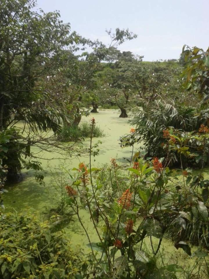 Double Room with Garden View photo 2