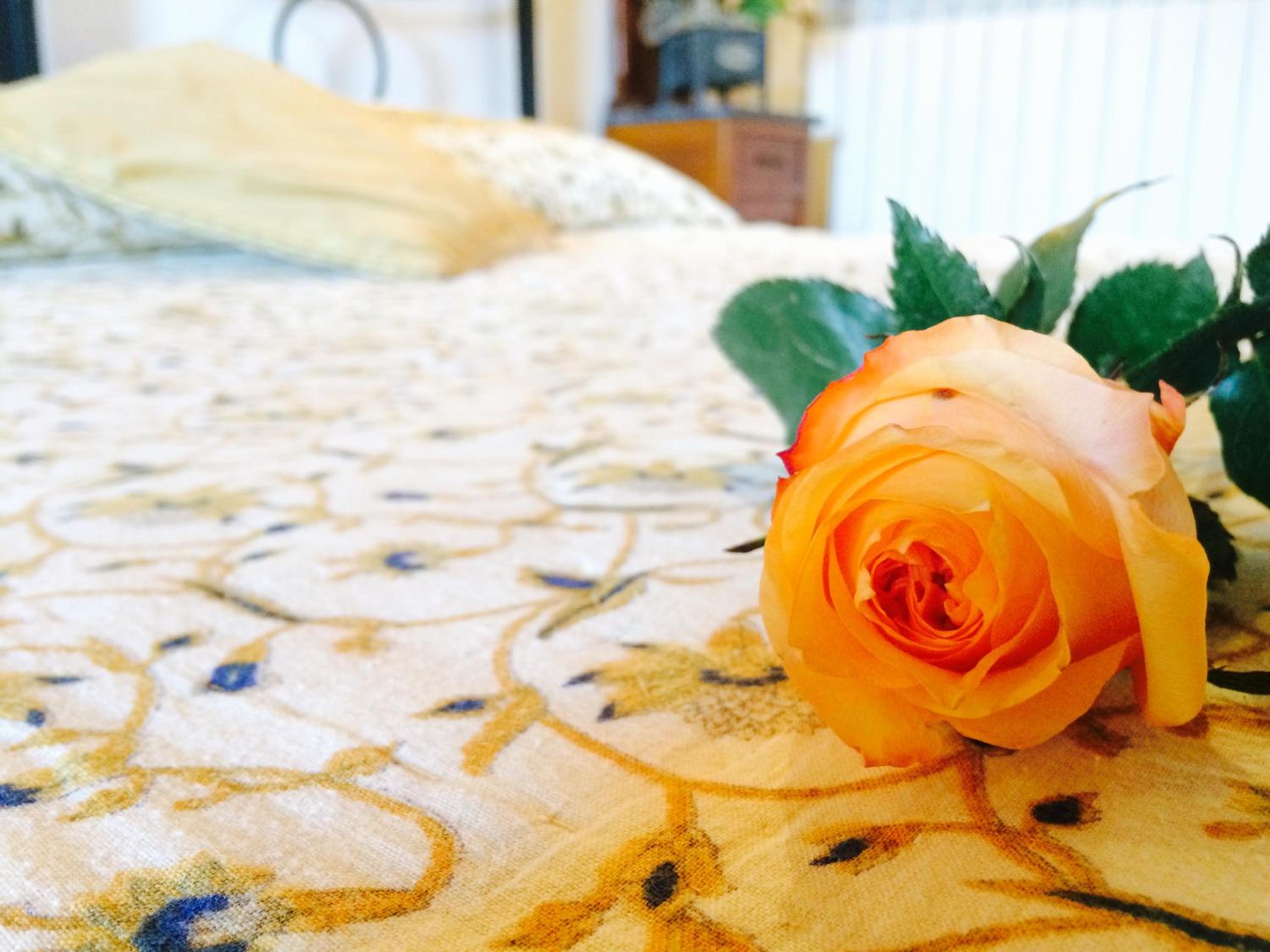 Double Room with Extra Bed photo 3