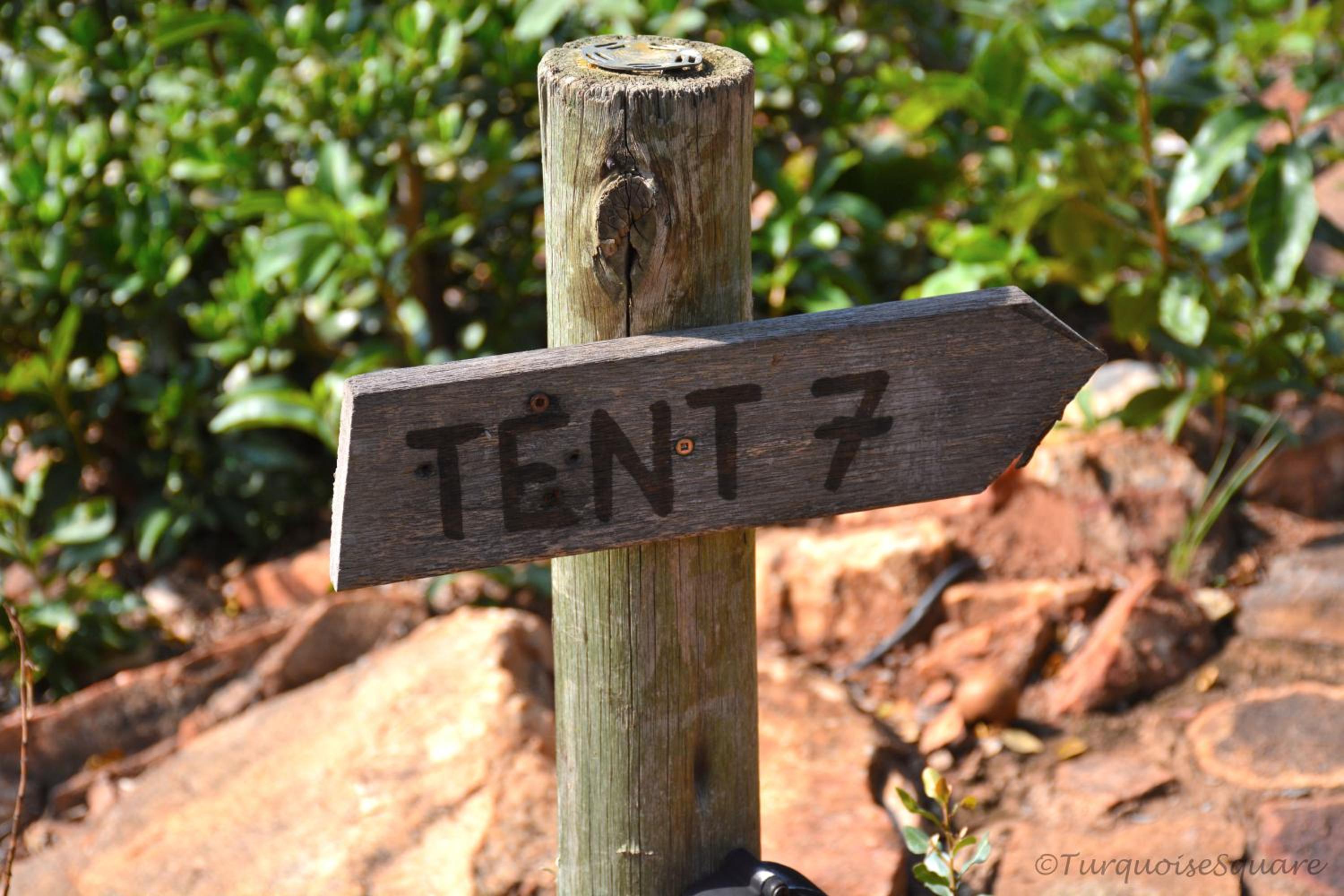 Luxury Tent - Photo 10