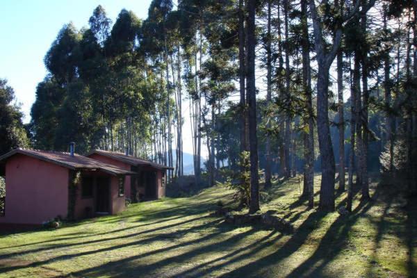 Bungalow (2 - 3 Adults) photo 2