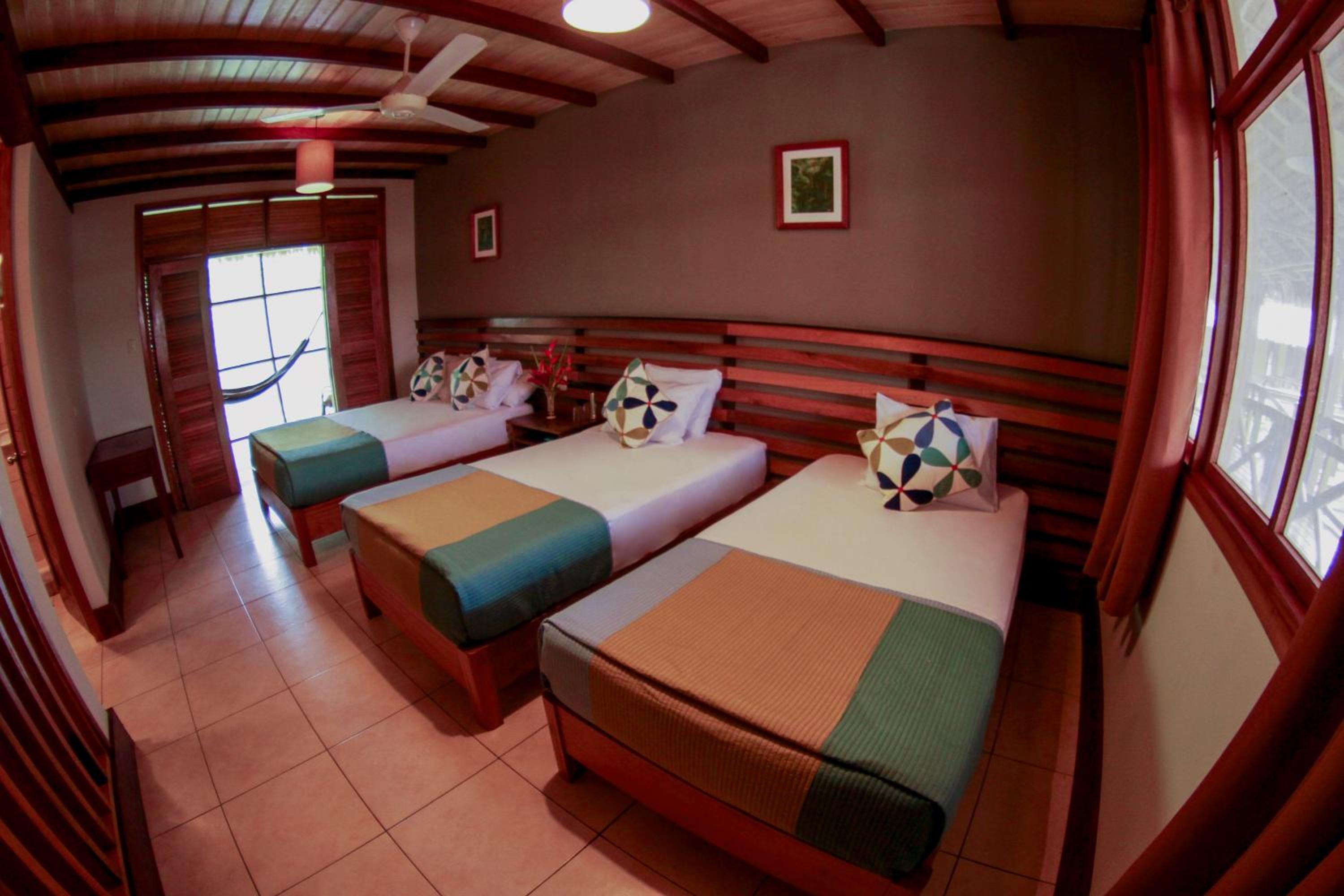 Triple Room photo 2