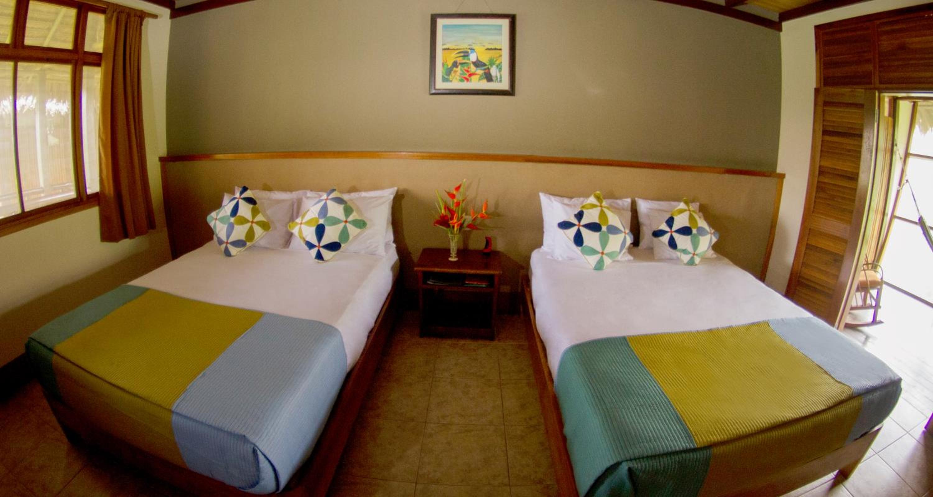 Twin Room photo 3