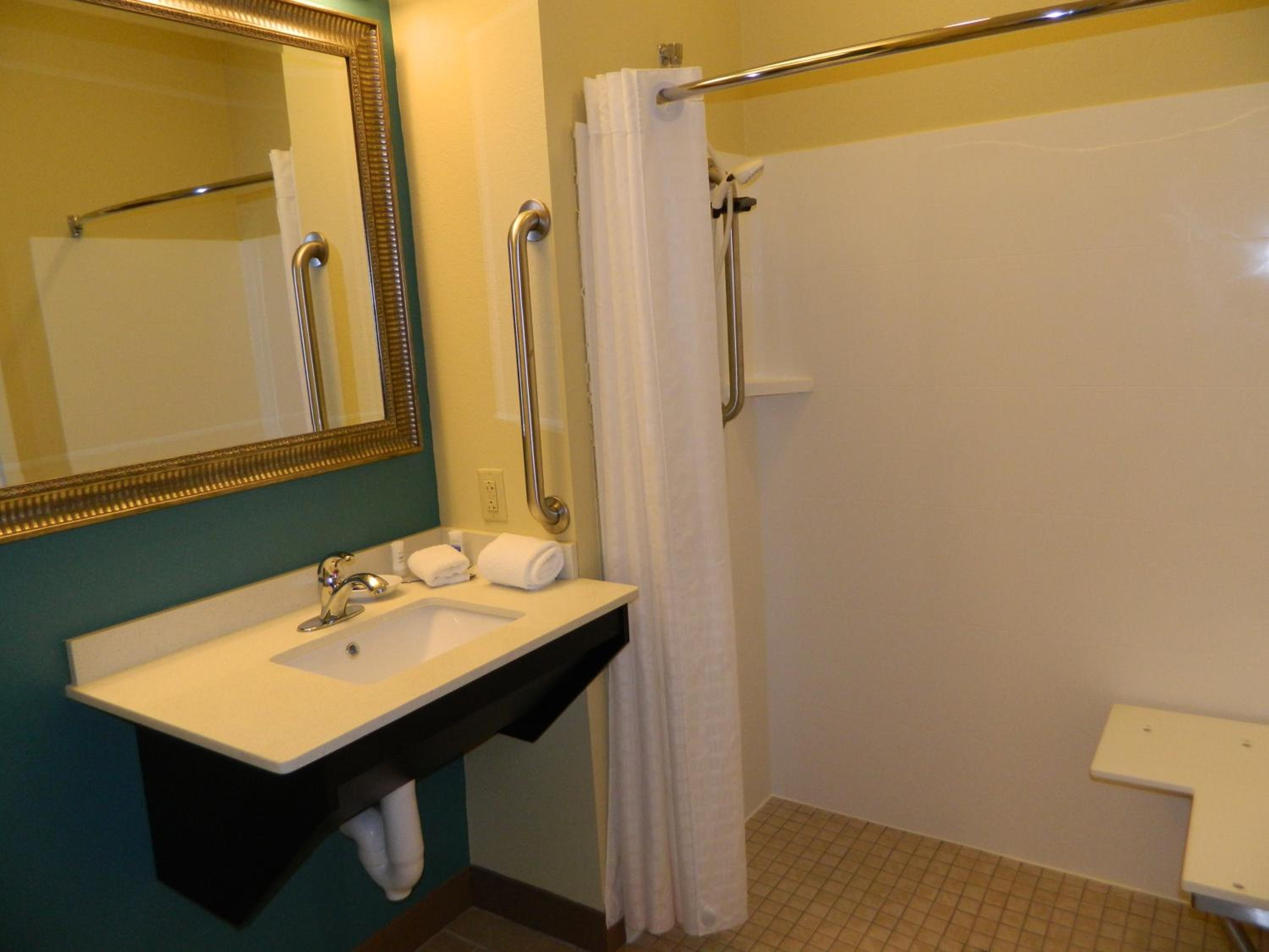 King Room with Roll-in Shower - Disability Access/Non-Smoking - Photo 5