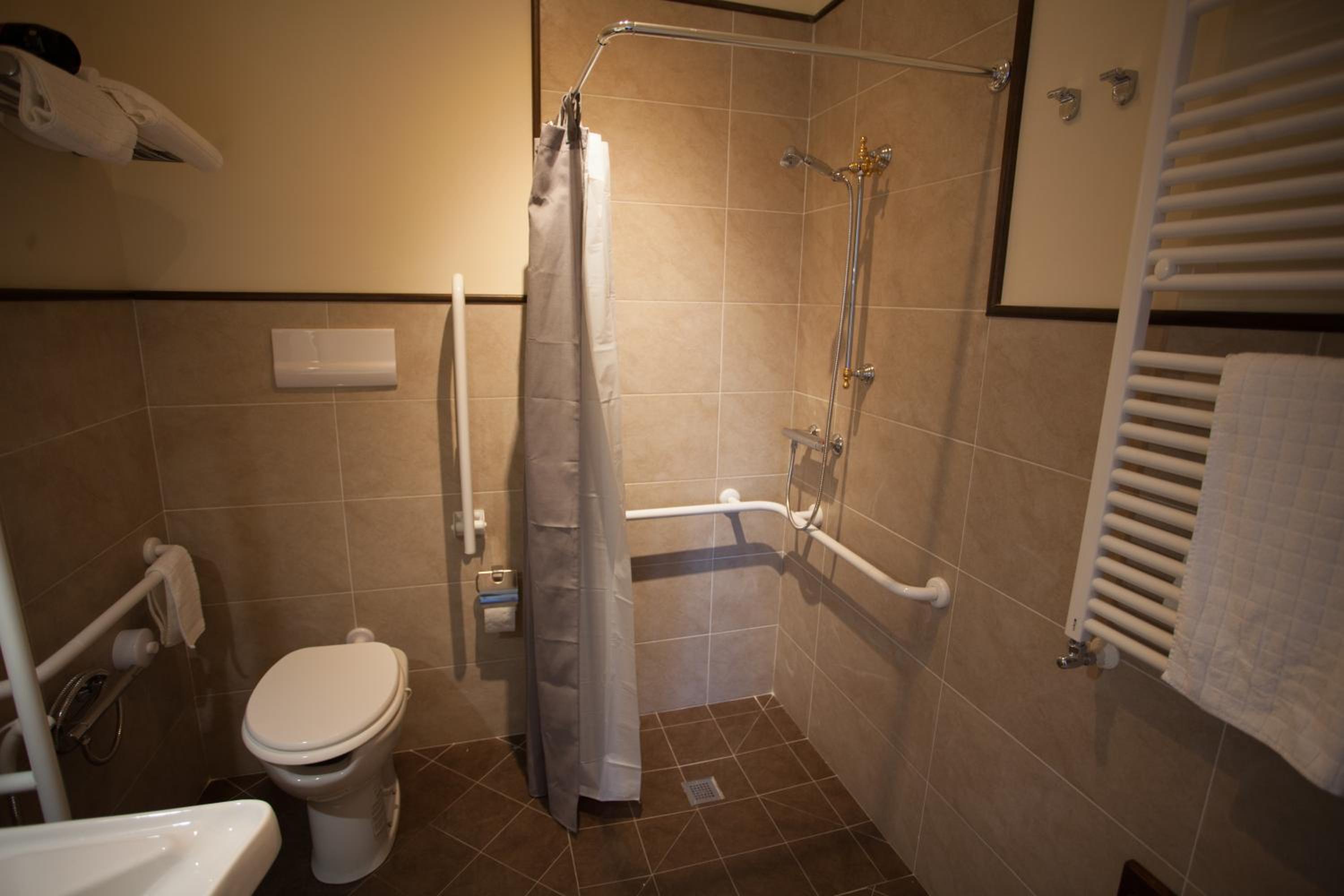 King Room With Roll-In Shower - Disability Access photo 2