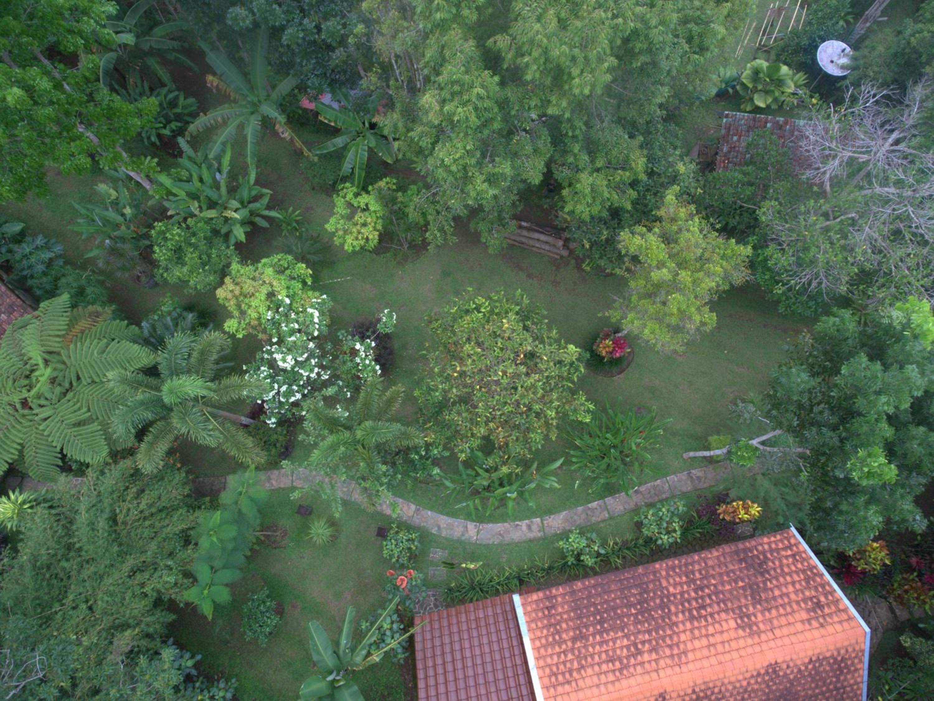 Bungalow - Photo 5