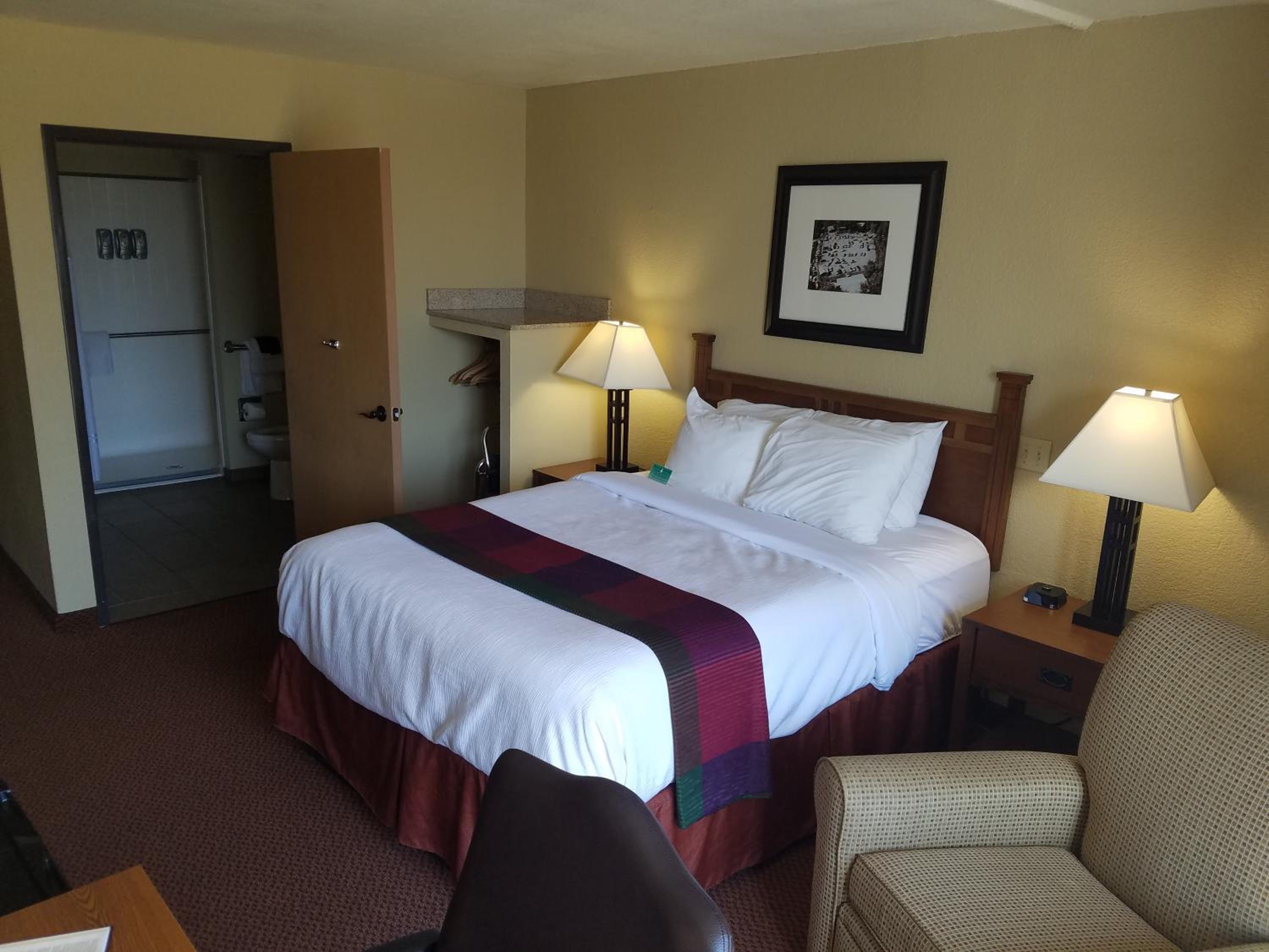 Queen Room with Roll-In Shower - Disability/Non-Smoking photo 1