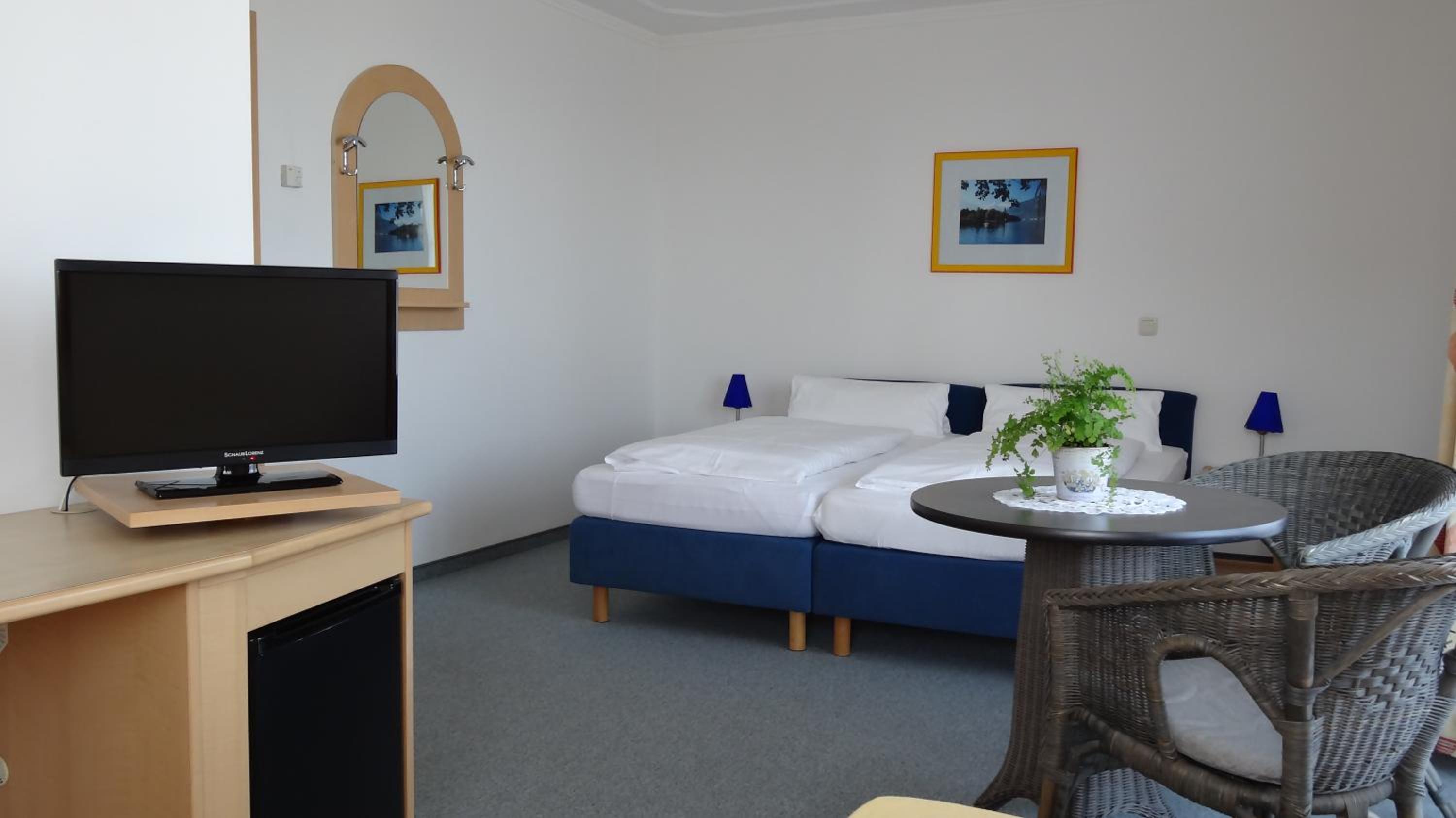 Double or Twin Room photo 3
