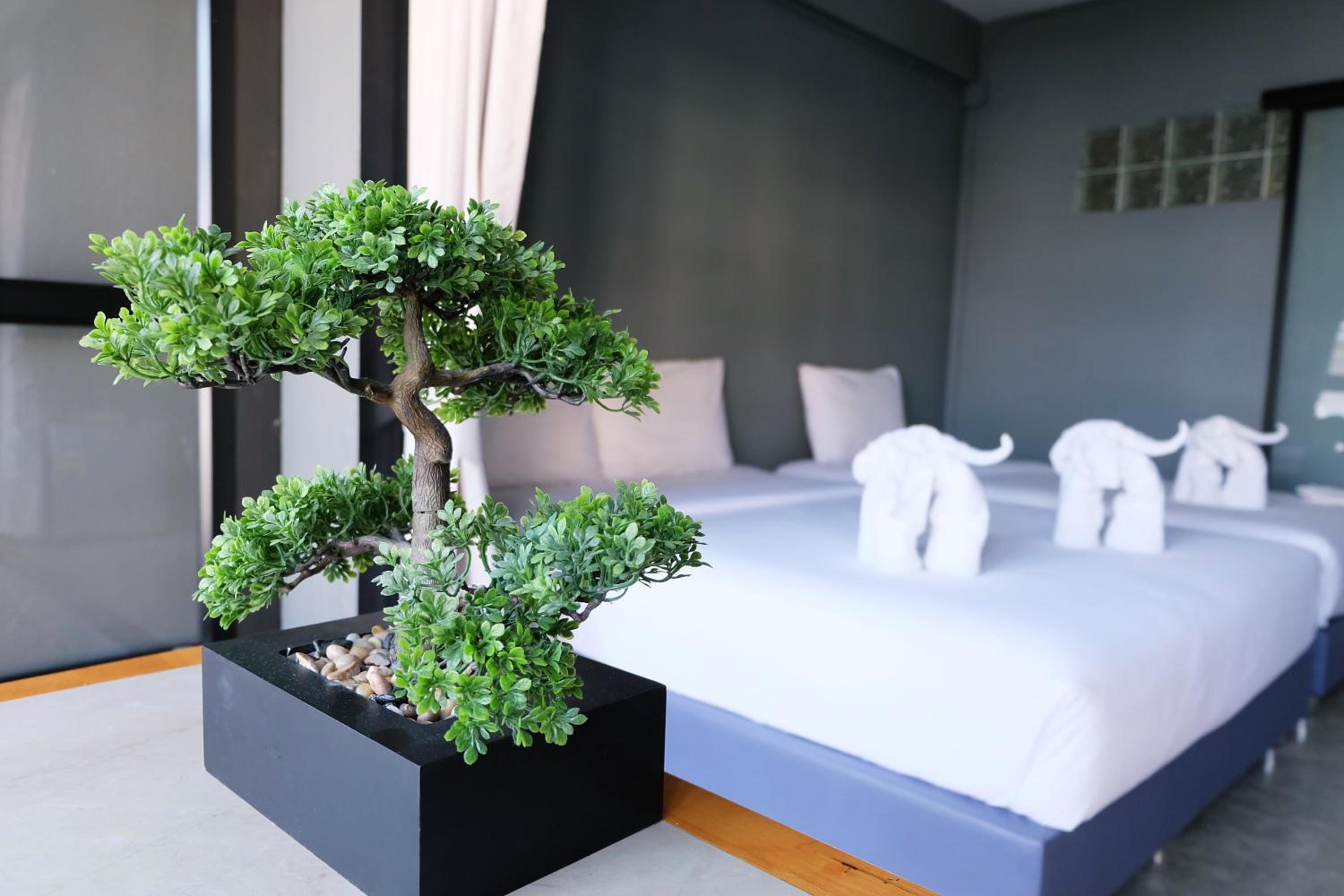 Triple Room - Photo 5