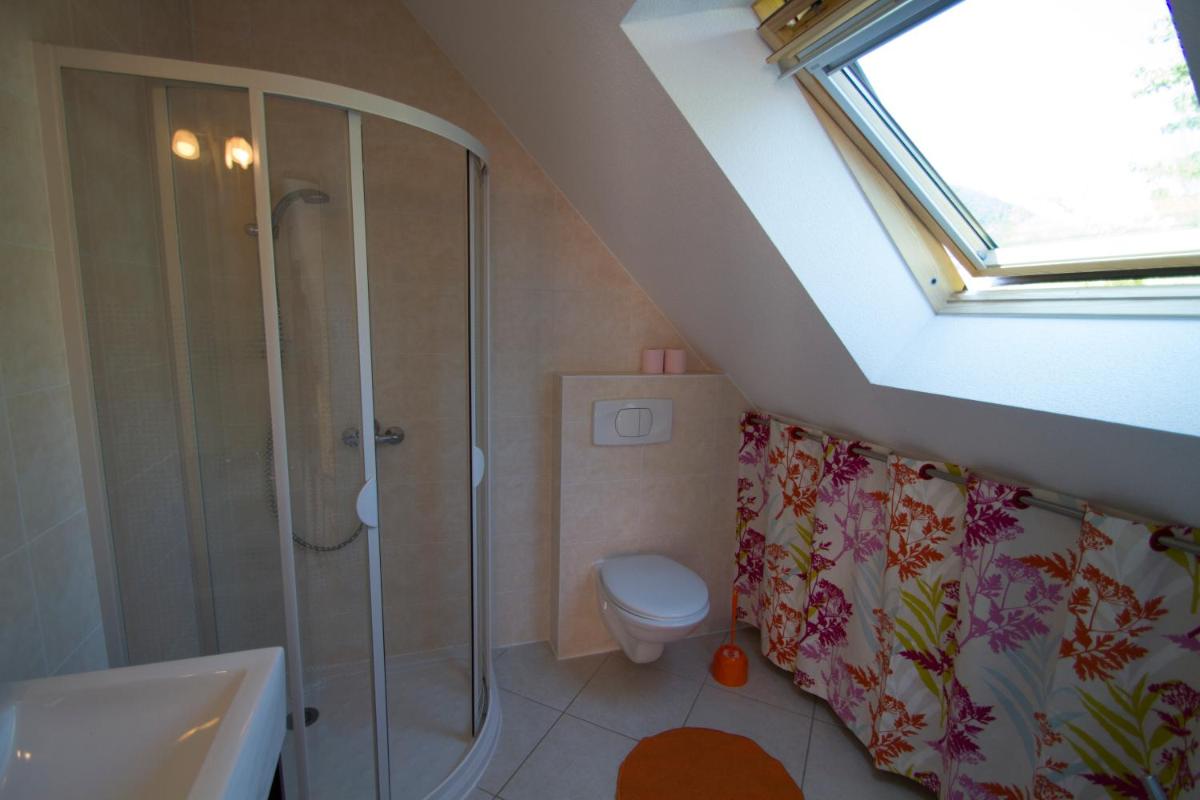 Apartment with Terrace photo 3