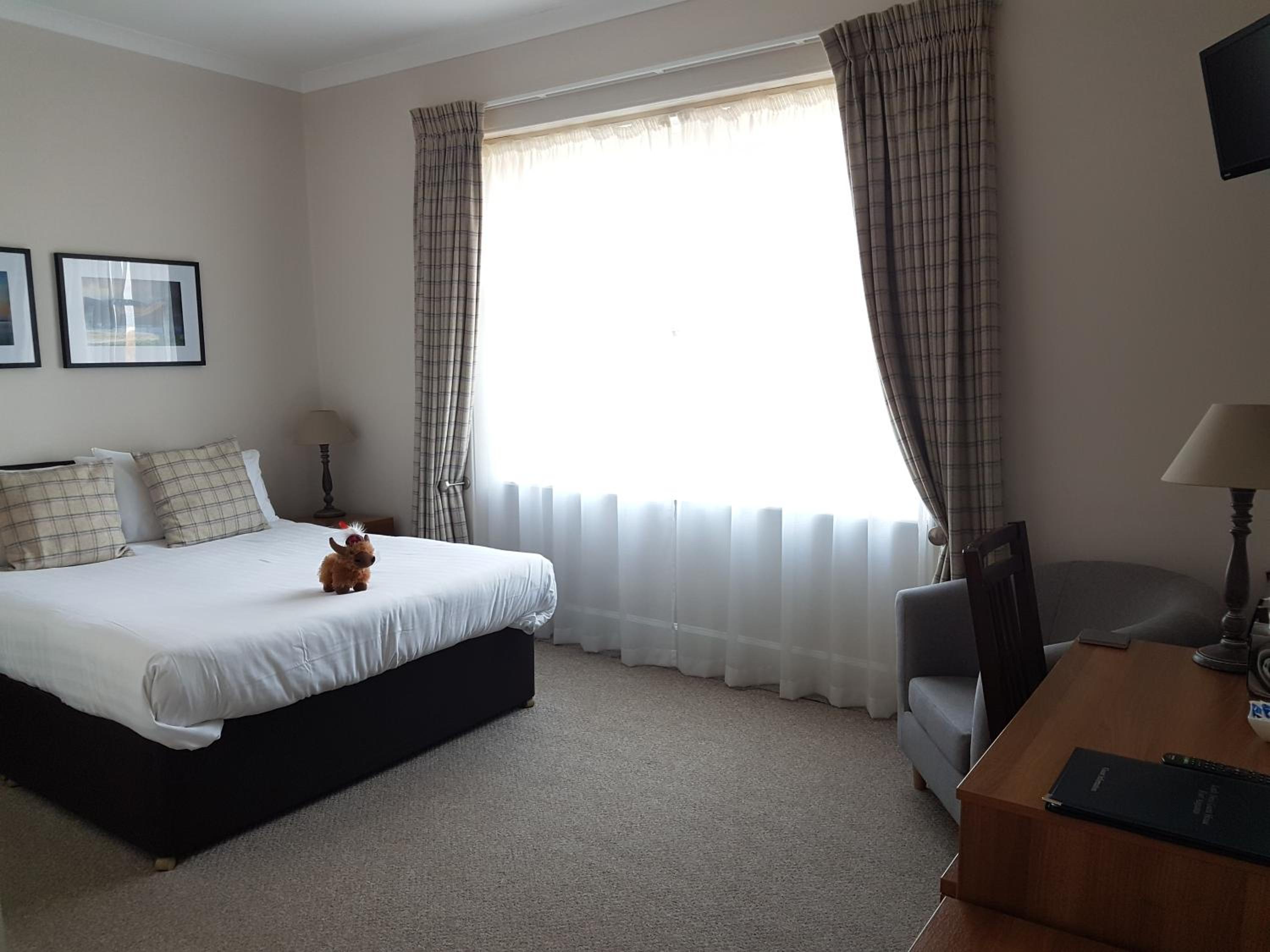 King Room photo 2