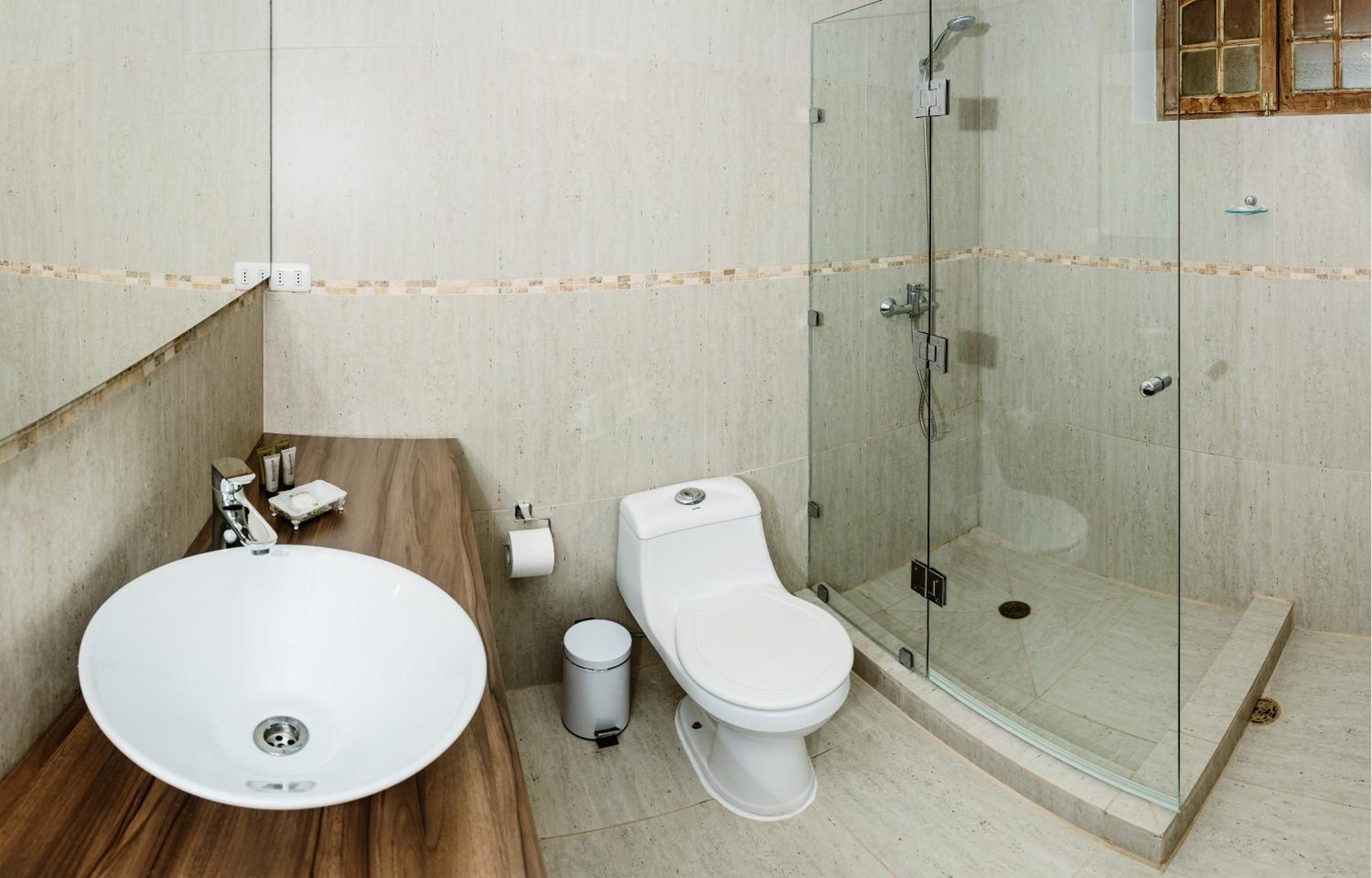 Deluxe Double or Twin Room photo 3
