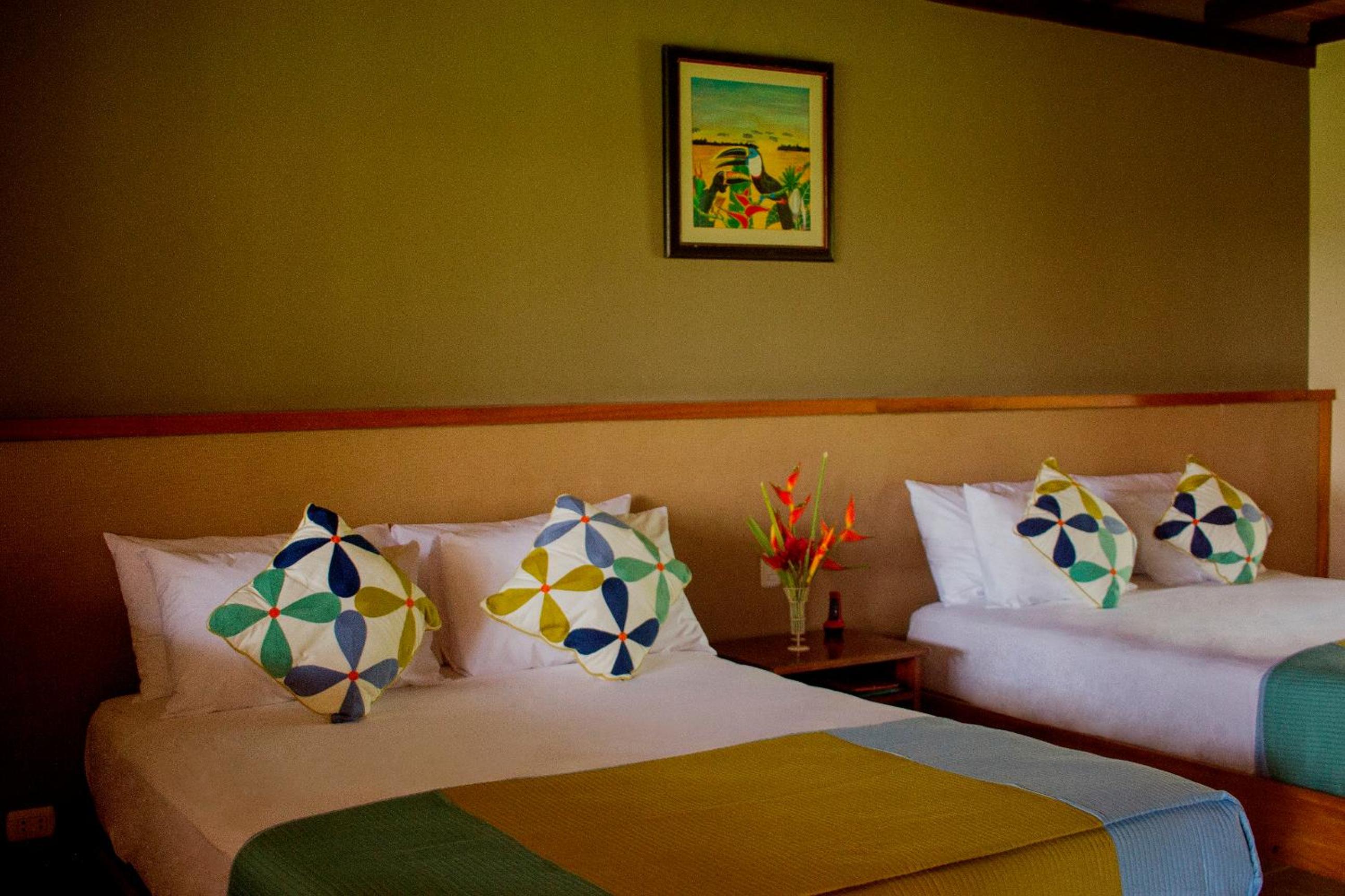 Twin Room photo 2