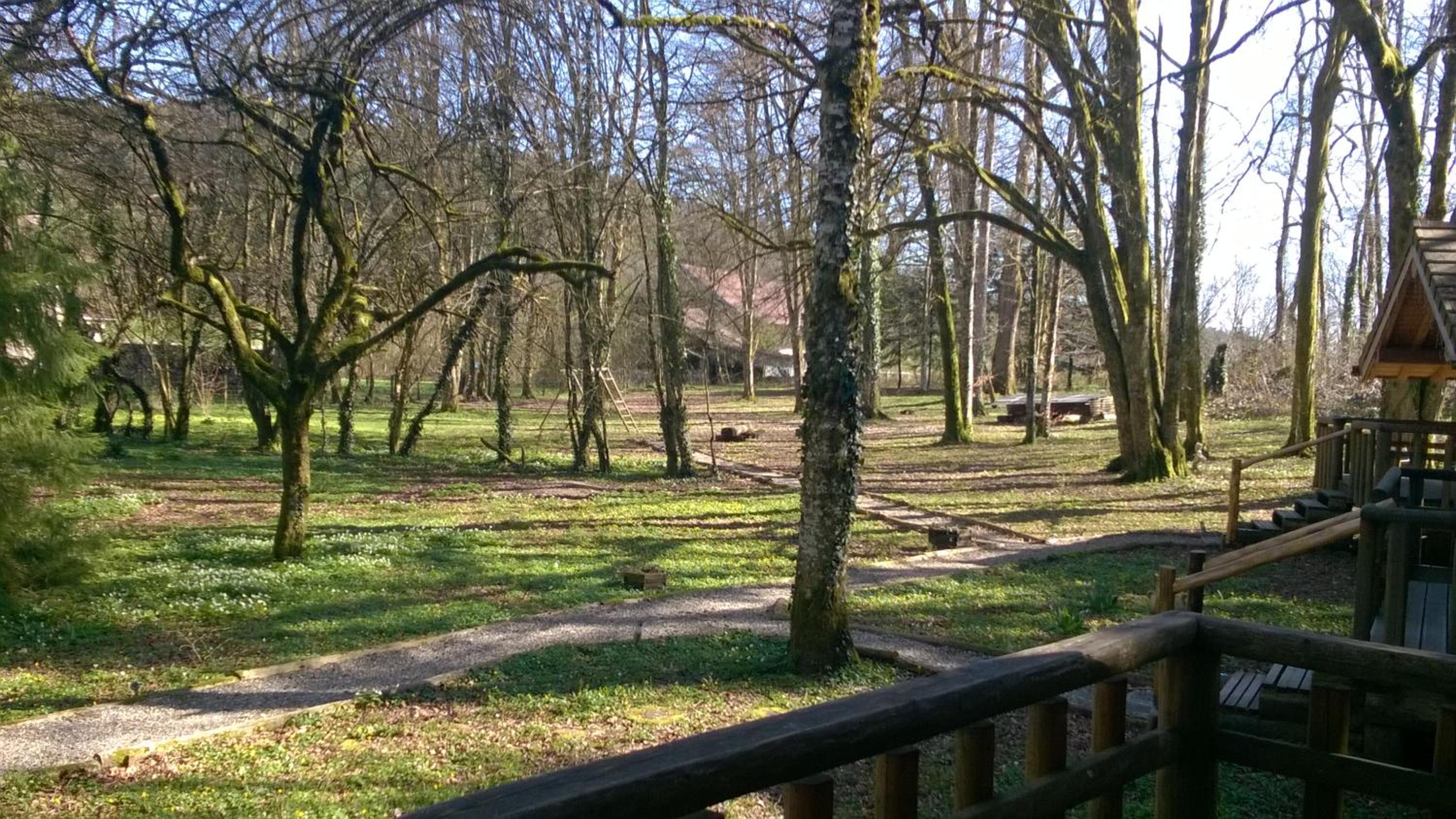Chalet - Photo 36