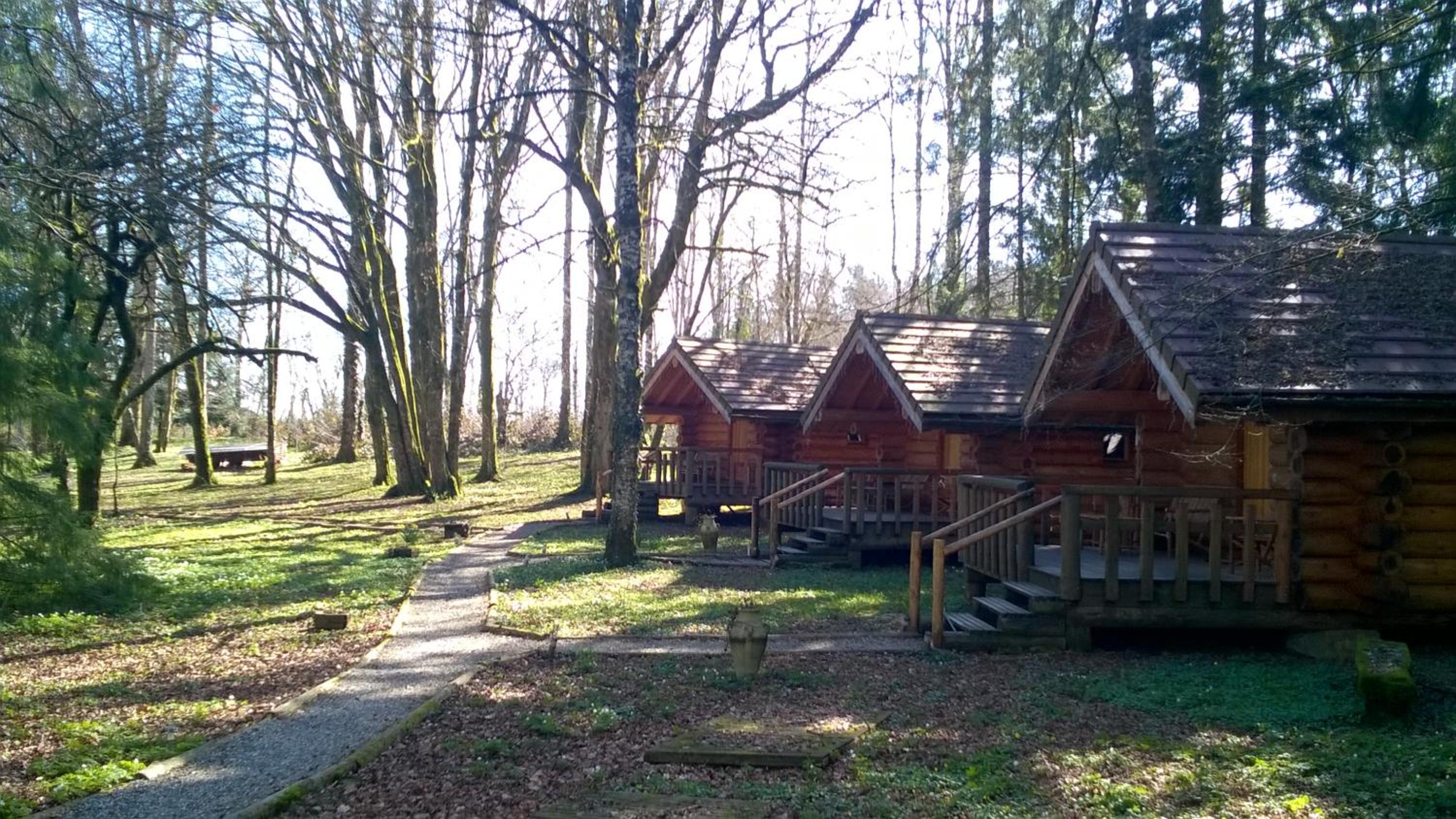 Chalet - Photo 38