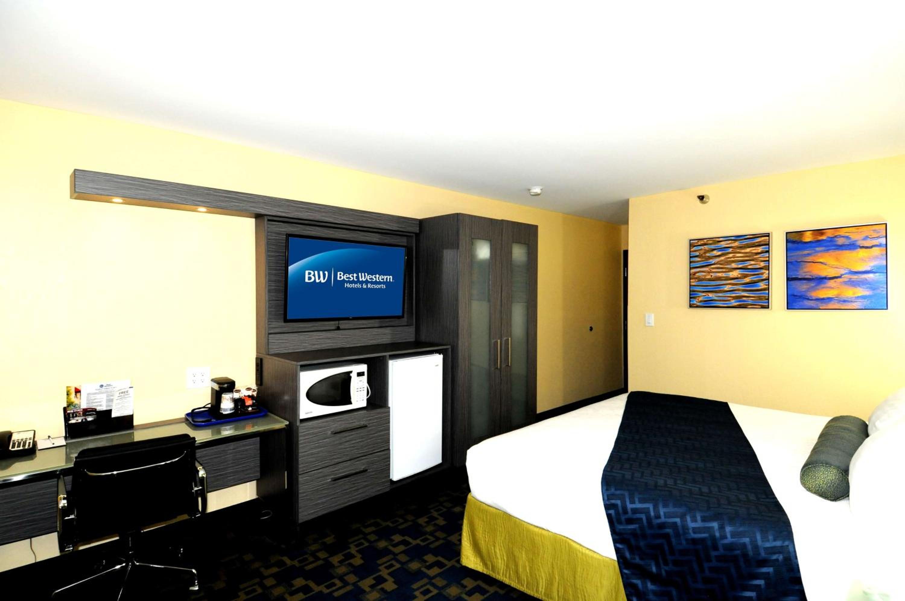 King Room - Pet Friendly/Non-Smoking photo 3