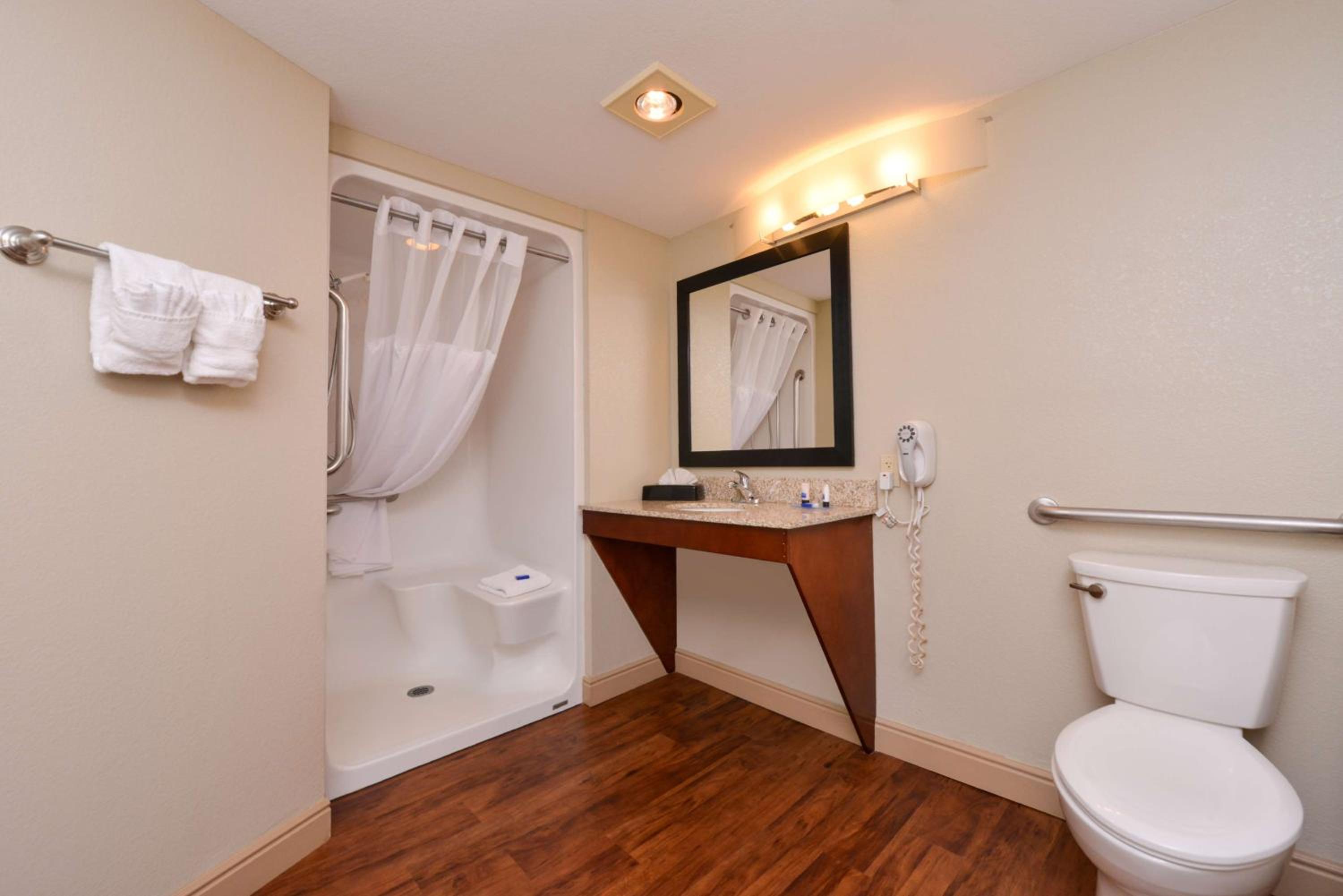 King Room with Walk-In Shower - Mobility Access - Photo 4