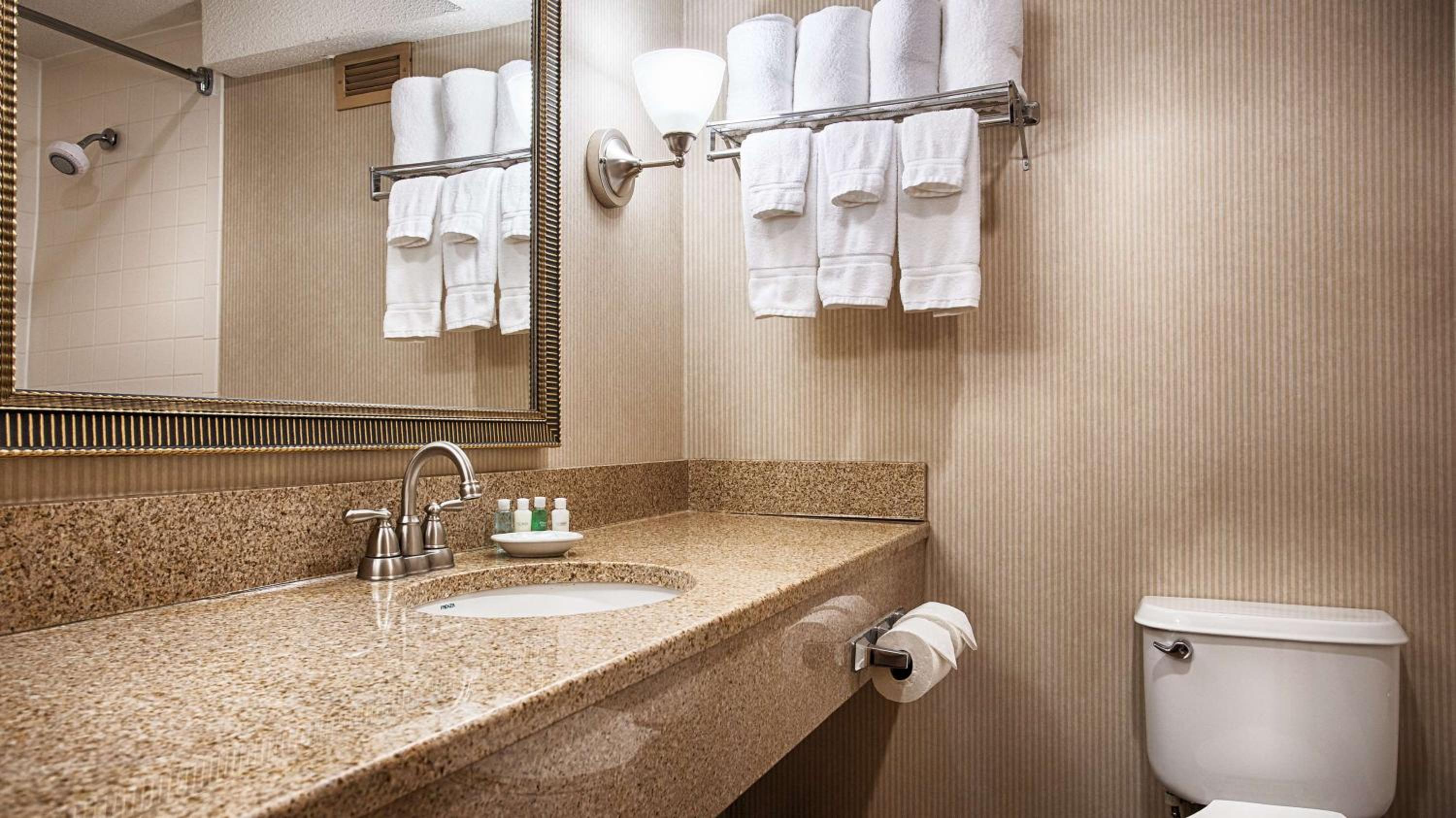 King Room - Pet Friendly/Non-Smoking - Photo 3