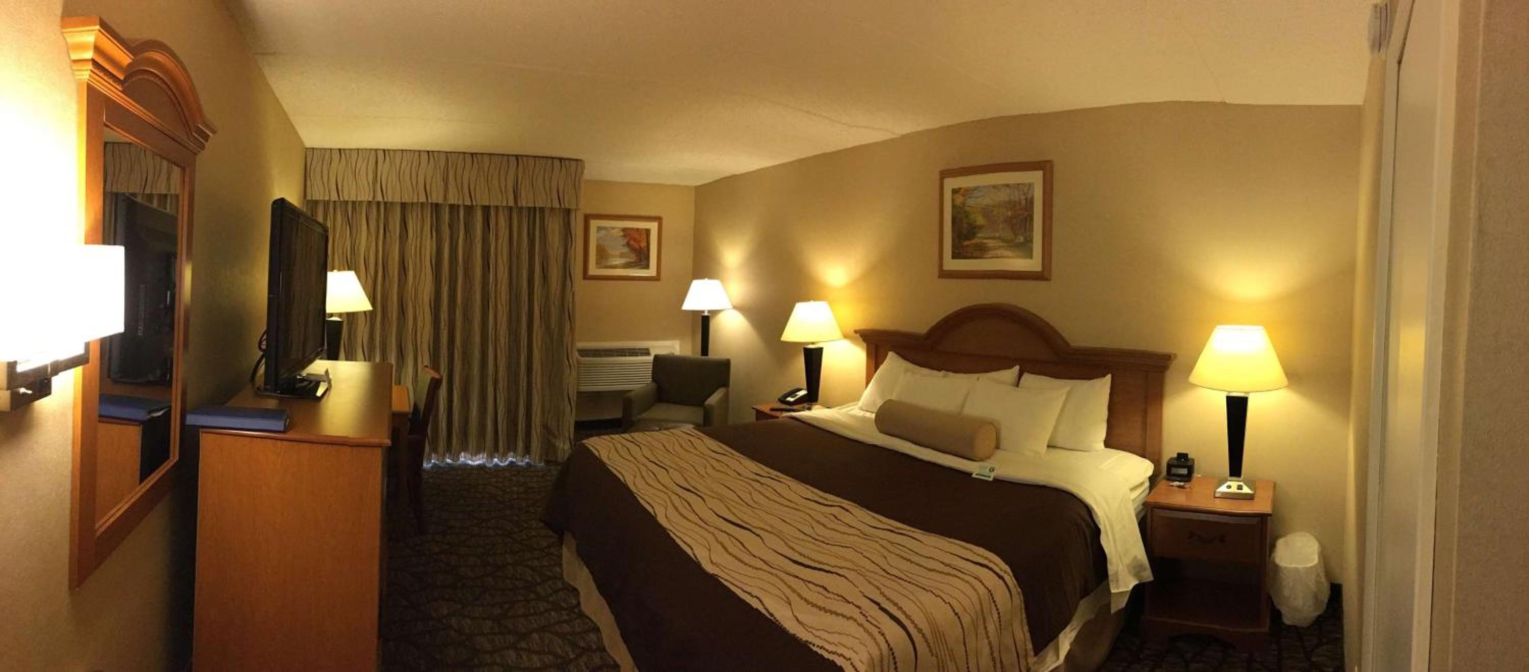 King Room - Non-Smoking - Photo 5