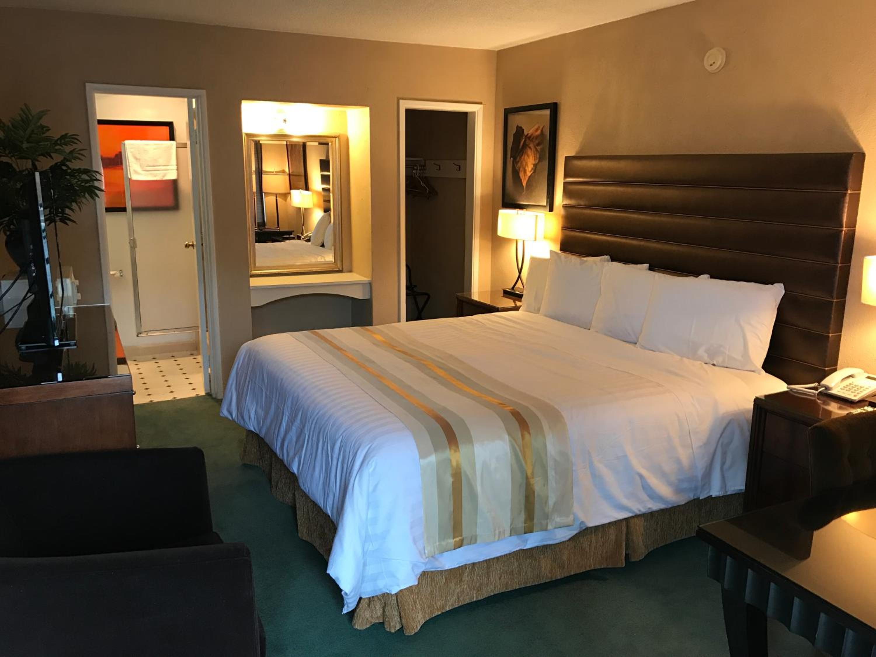 Standard King Room