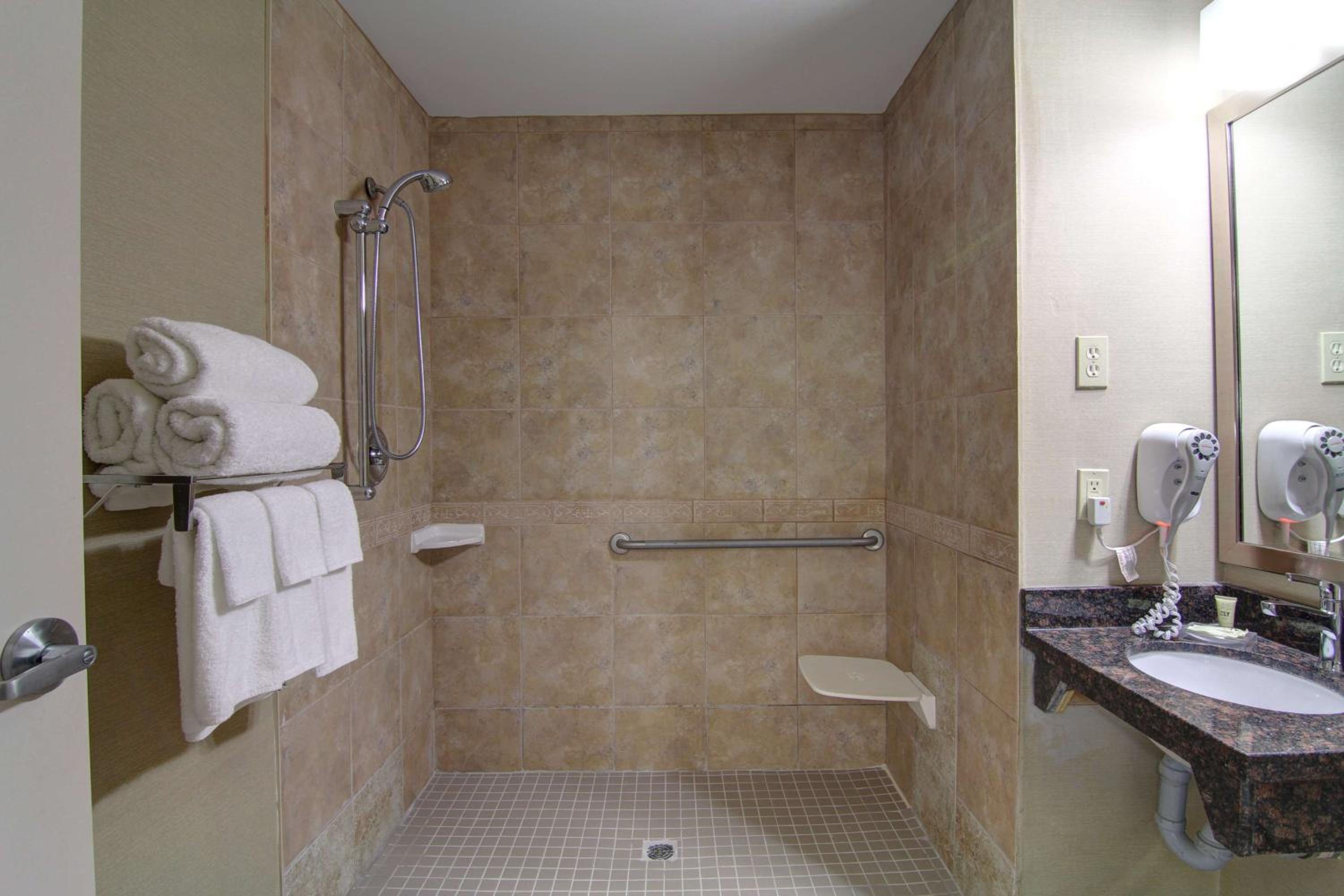 Queen Suite with Sofa Bed and Roll-In Shower - Disability Access/Non-Smoking - Photo 3
