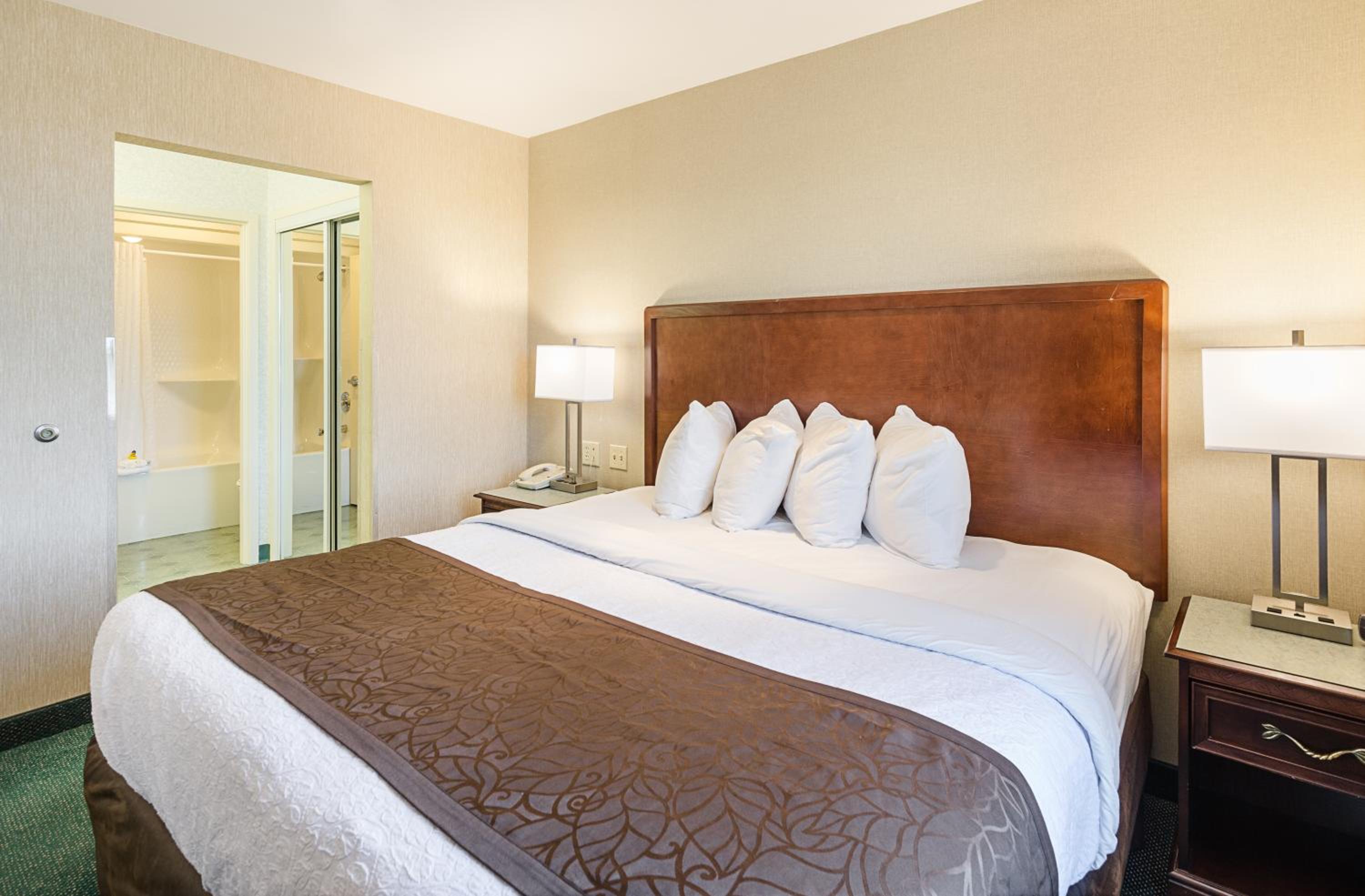 One-Bedroom King Suite - Non-Smoking - Photo 4