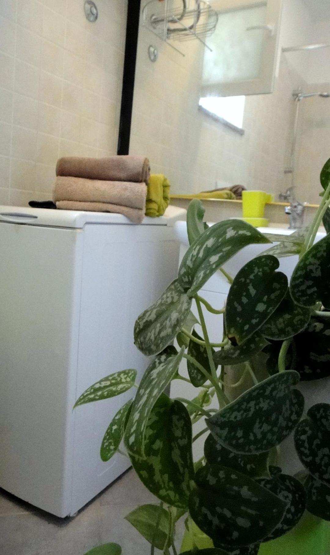 Apartment - Photo 8