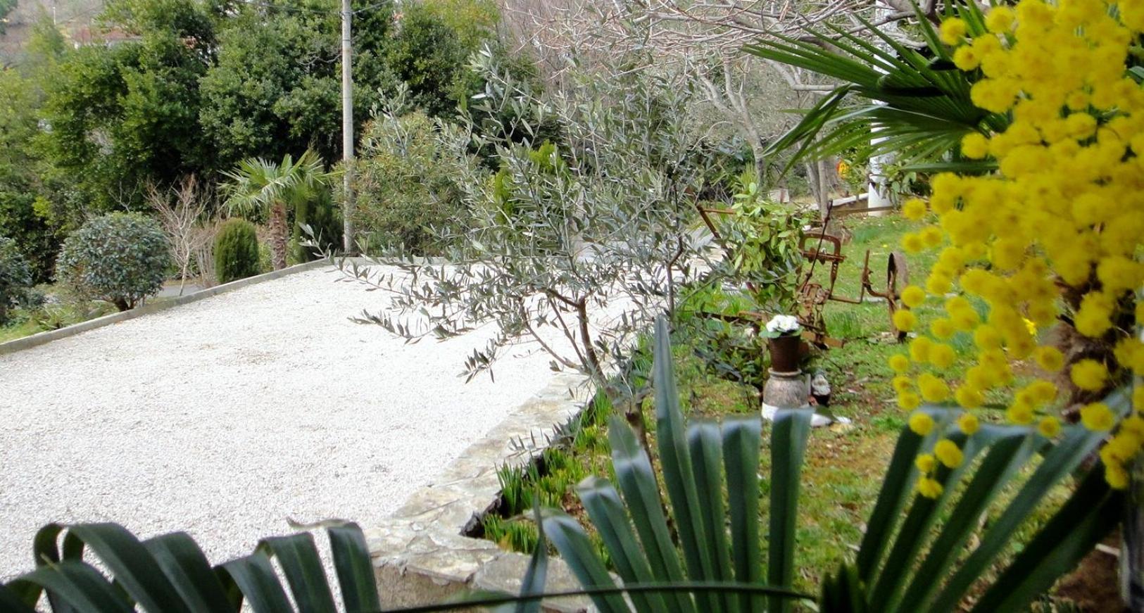 Apartment - Photo 10
