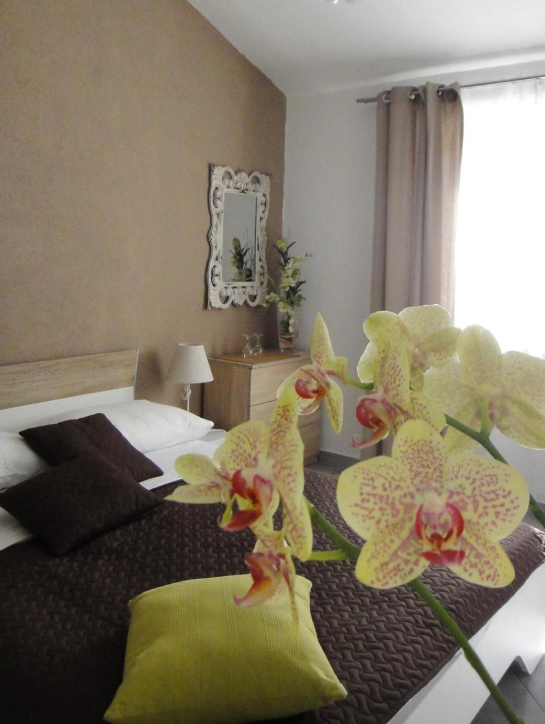 Apartment - Photo 11