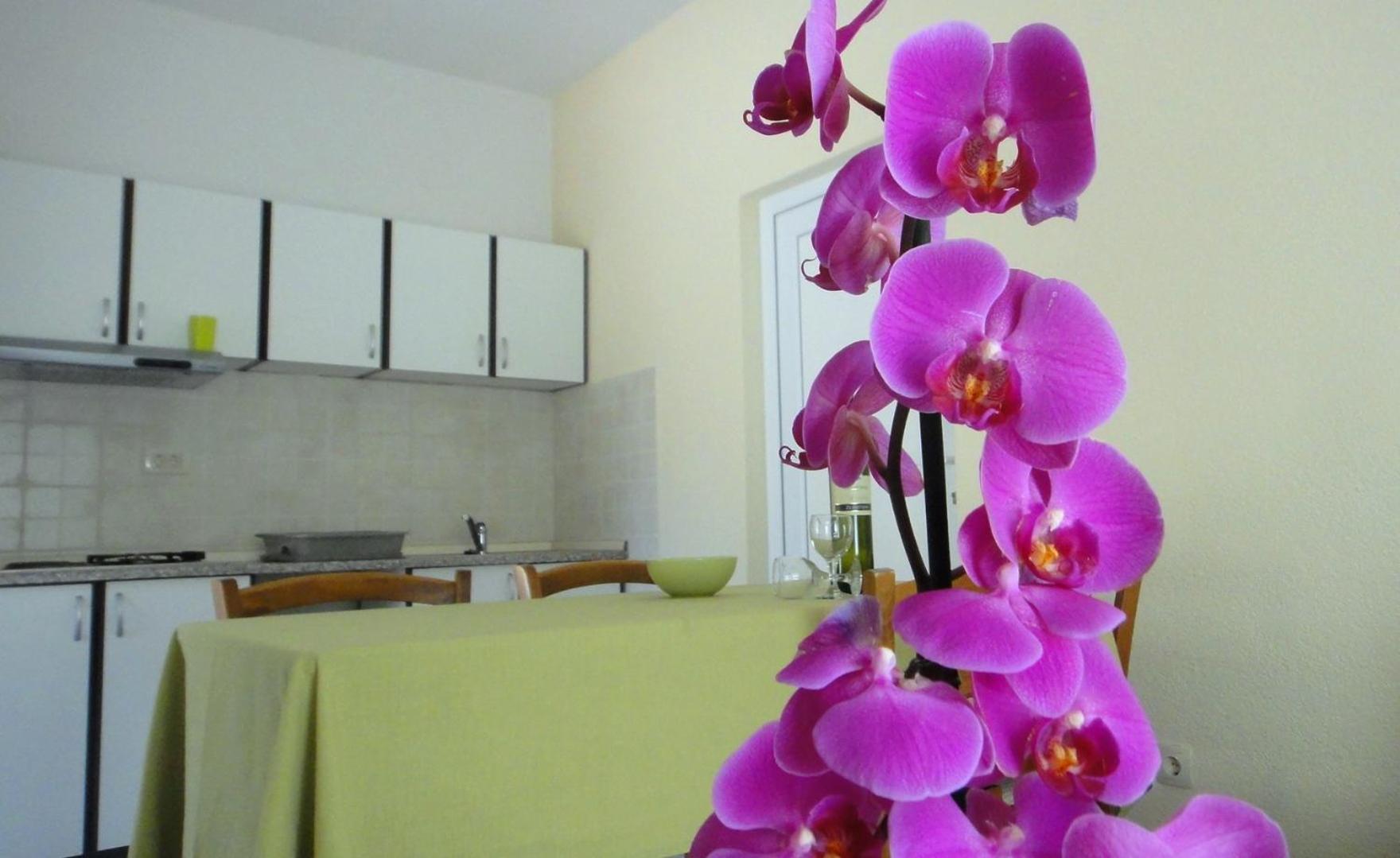 Apartment - Photo 12
