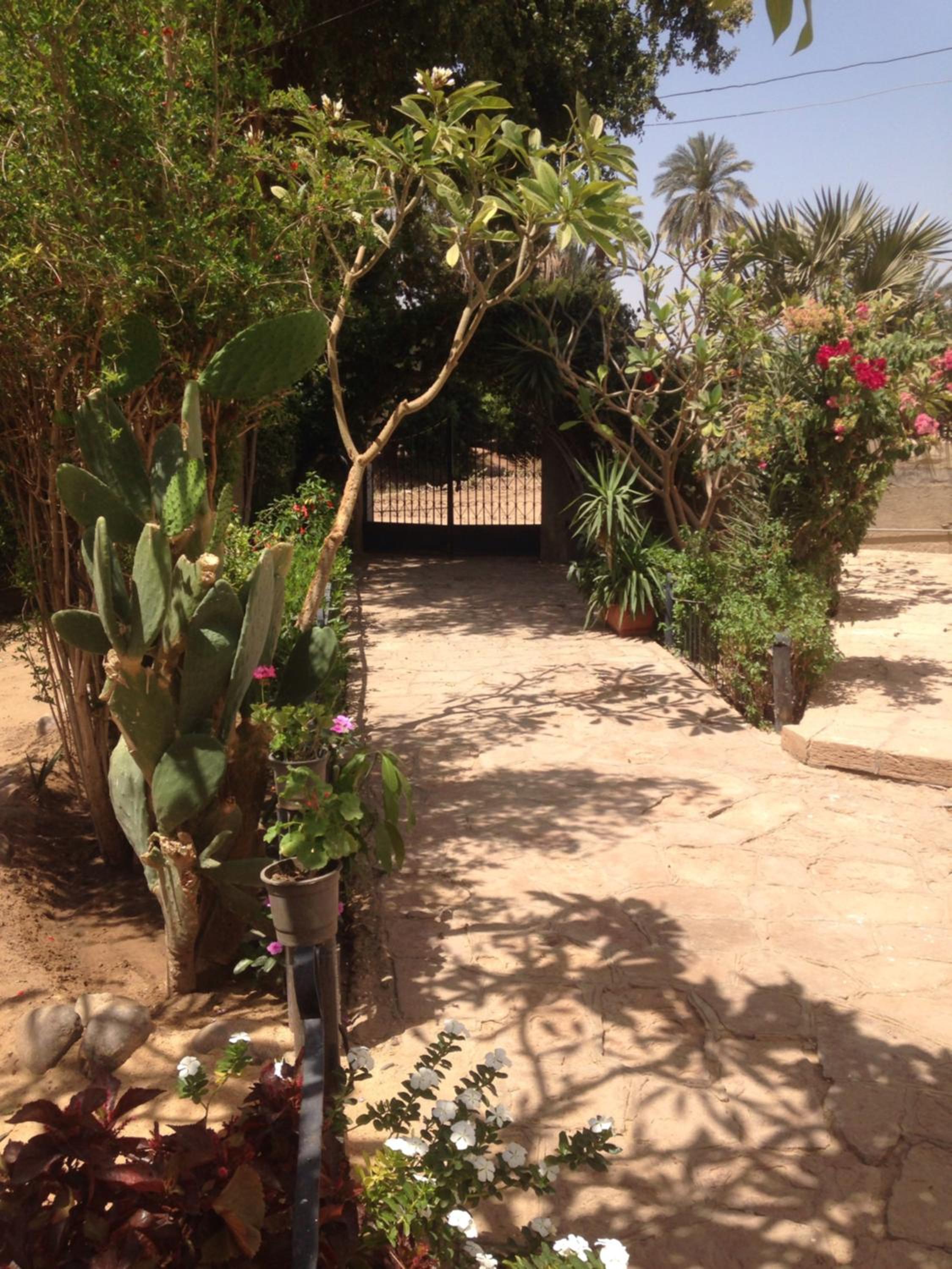 Deluxe Double Room with Private Bathroom With Garden View - Photo 20