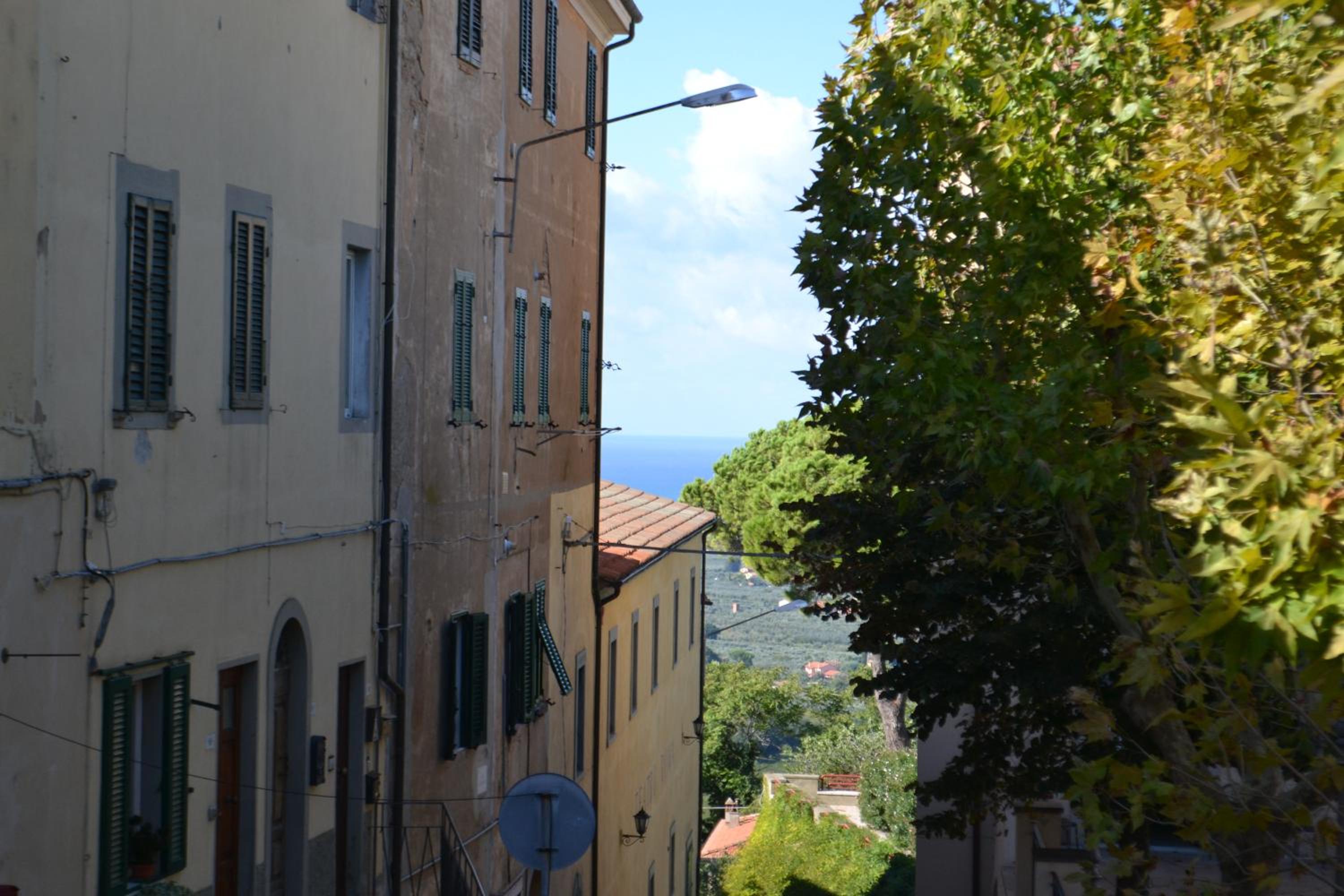 Apartment - Split Level photo 3