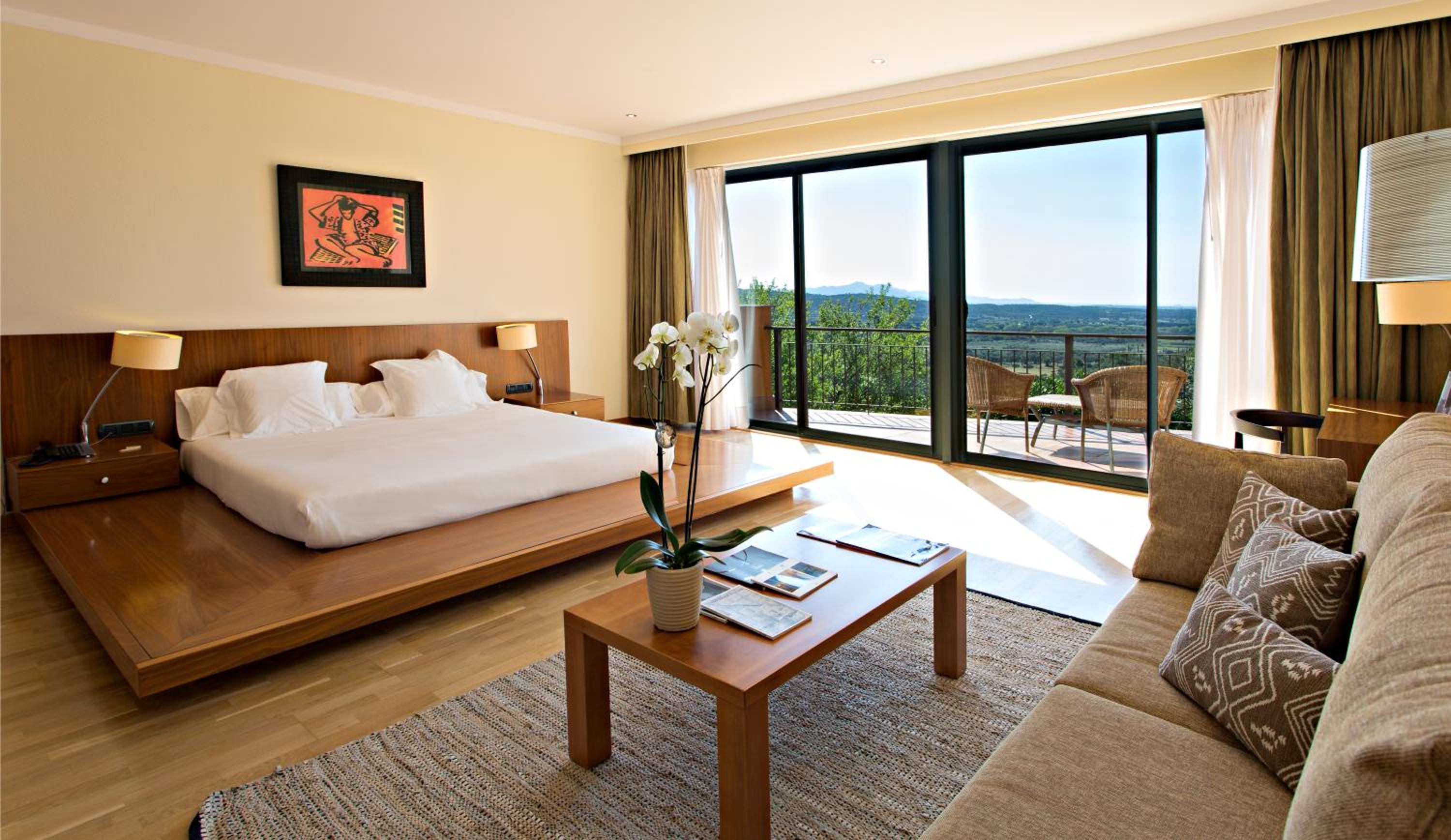 Junior Suite with Terrace photo 3