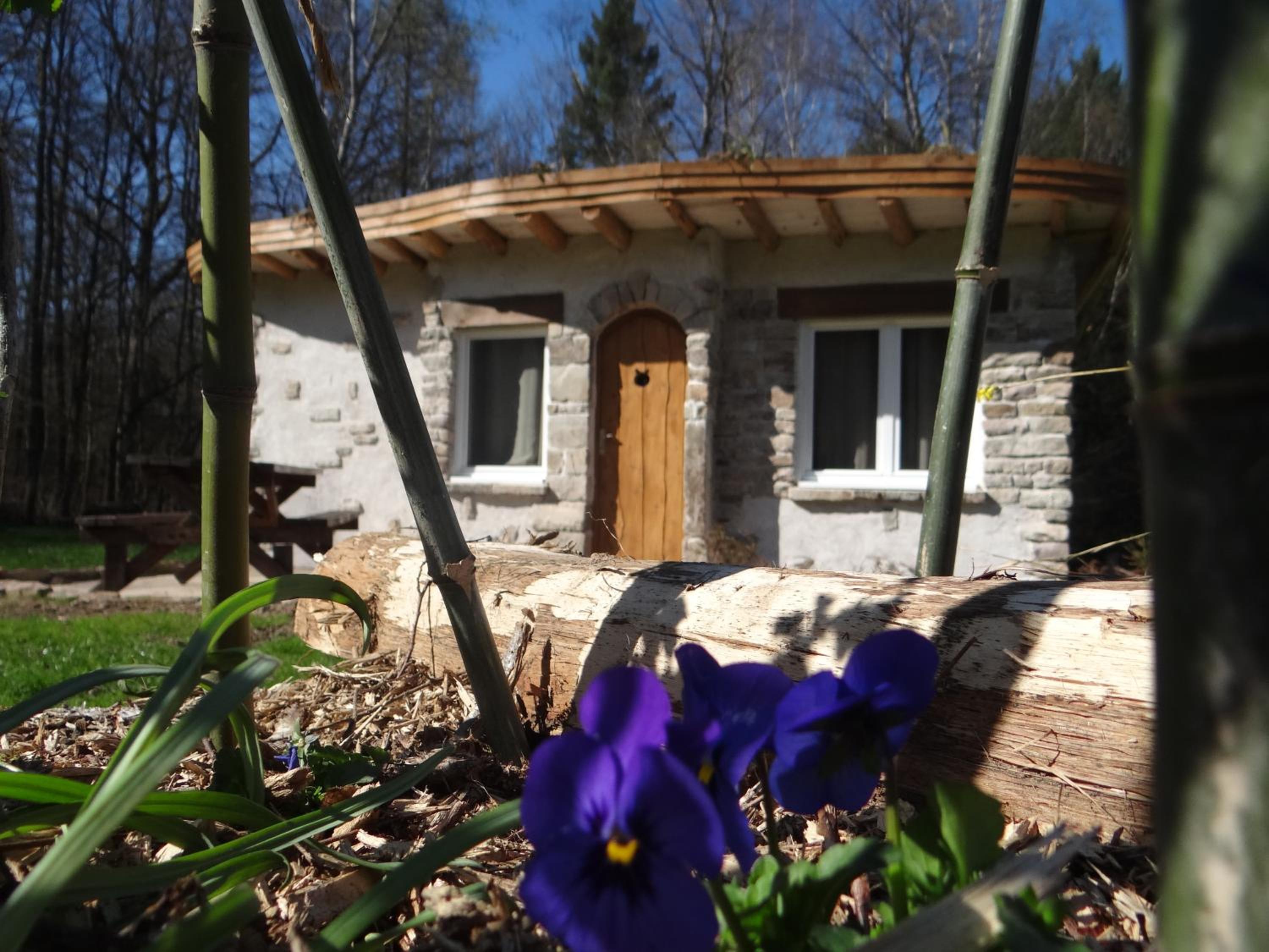 Superior Bungalow - Photo 4
